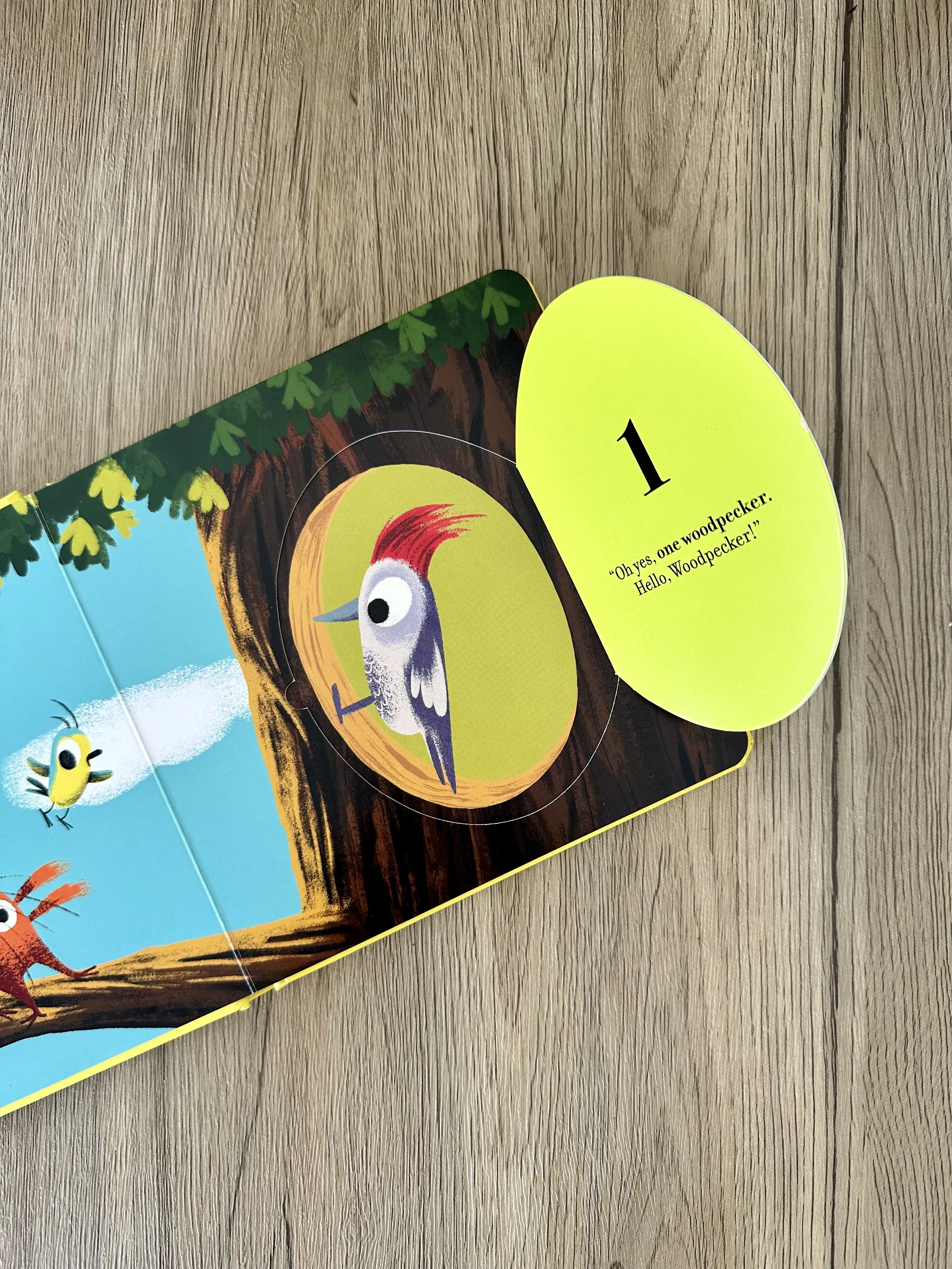 Produktansicht: Zahlen lernen mit dem Blätterdieb (Gebundene Ausgabe)