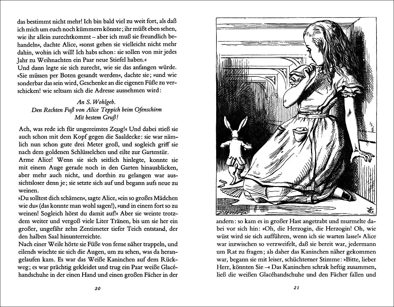 Detailansicht: Alice im Wunderland und Alice hinter den Spiegeln (Hardcover)