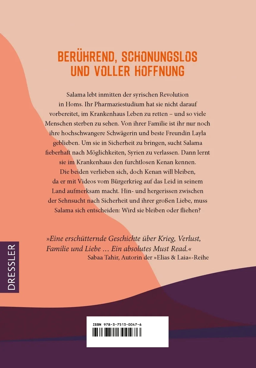Buchrückseite von 'All die Farben, die ich dir versprach' mit Klappentext - Gebundene Ausgabe