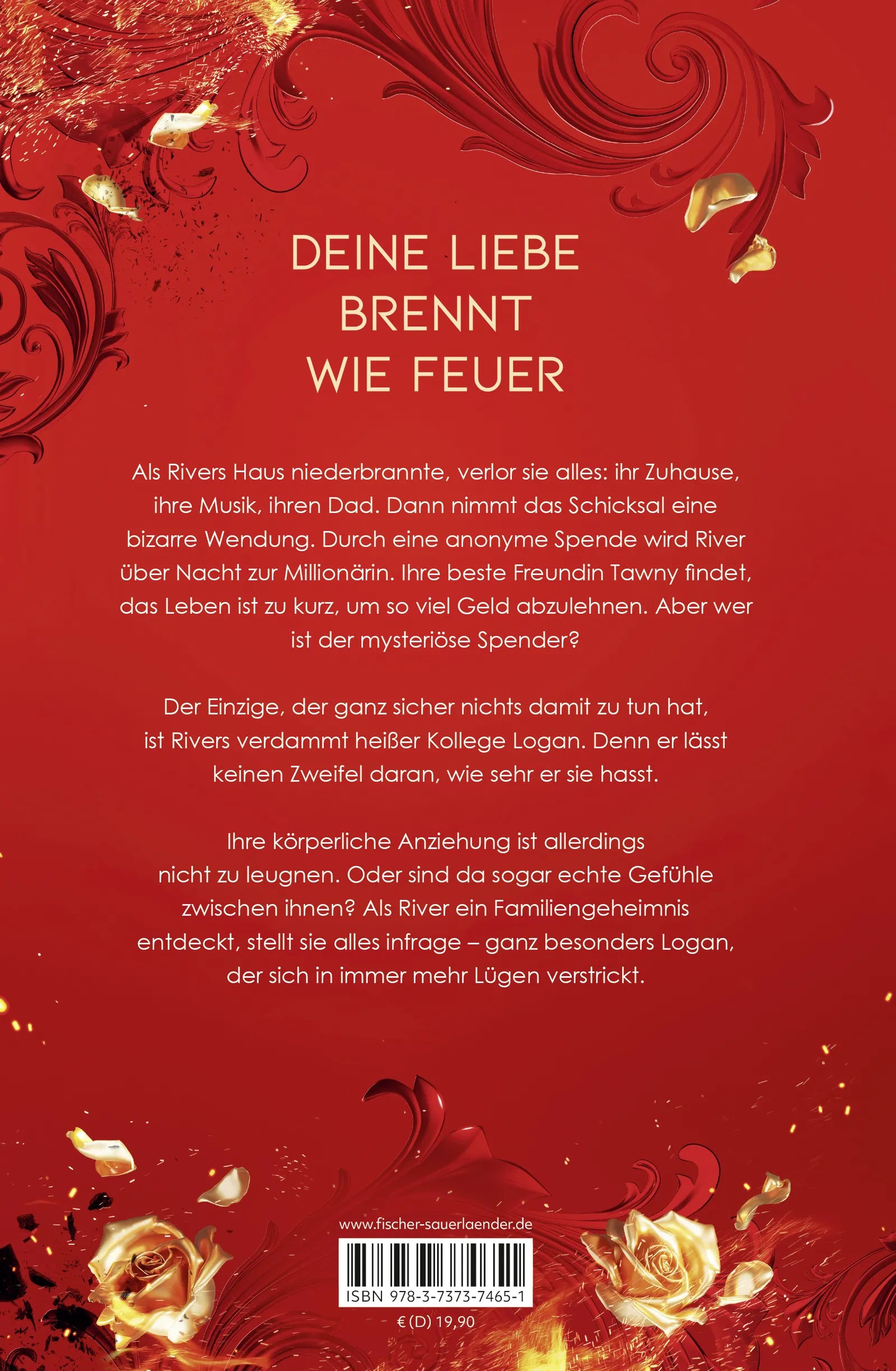 Buchrückseite von 'All We Lost Was Everything – Deine Liebe brennt wie Feuer' mit Klappentext - Gebundene Ausgabe