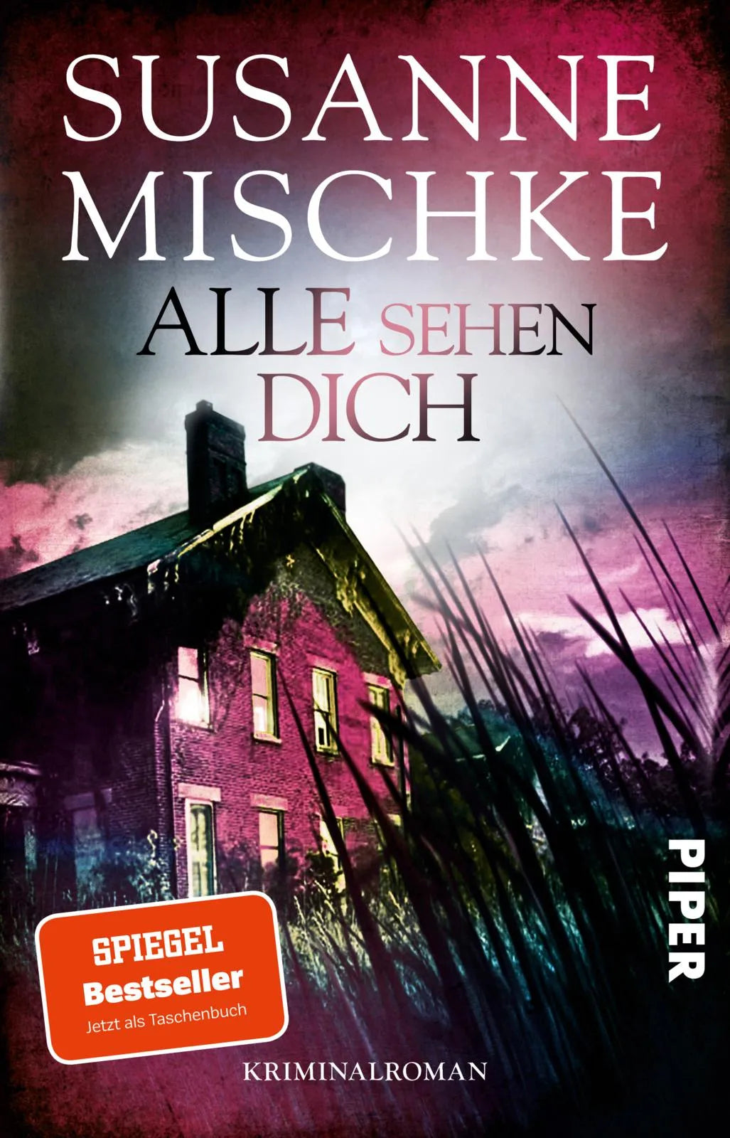 Buchcover von 'Alle sehen dich' - Taschenbuch von Susanne Mischke