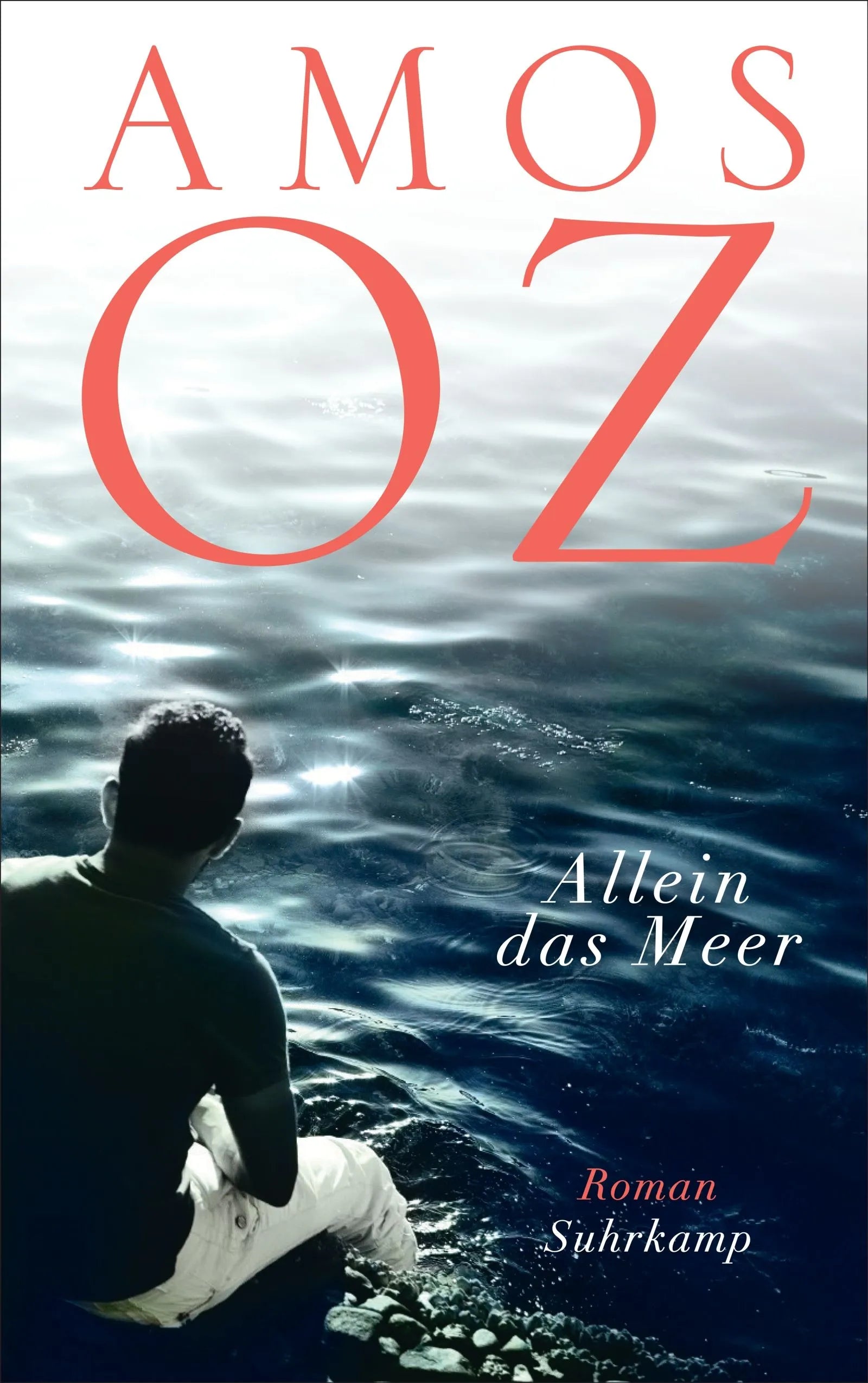 Cover: Allein das Meer (E-Book) von Amos Oz