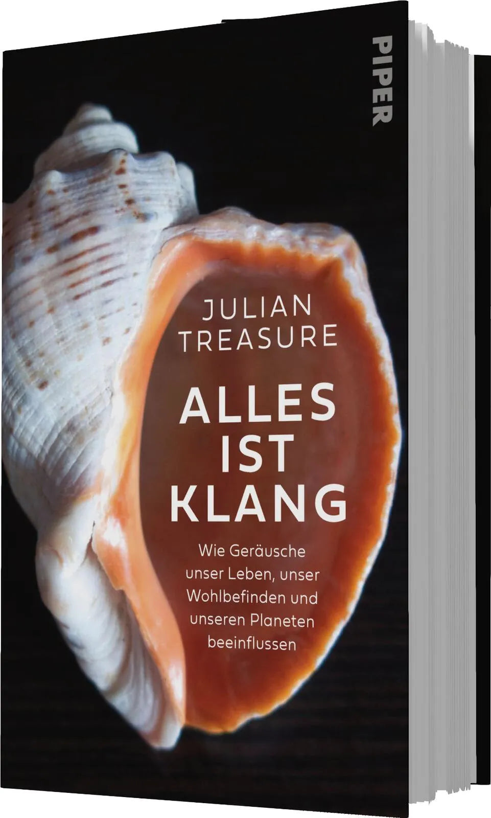 Julian Treasure - Alles ist Klang