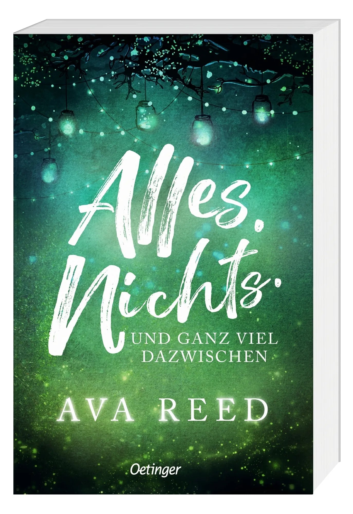 Produktansicht: Alles. Nichts. Und ganz viel dazwischen (Taschenbuch)