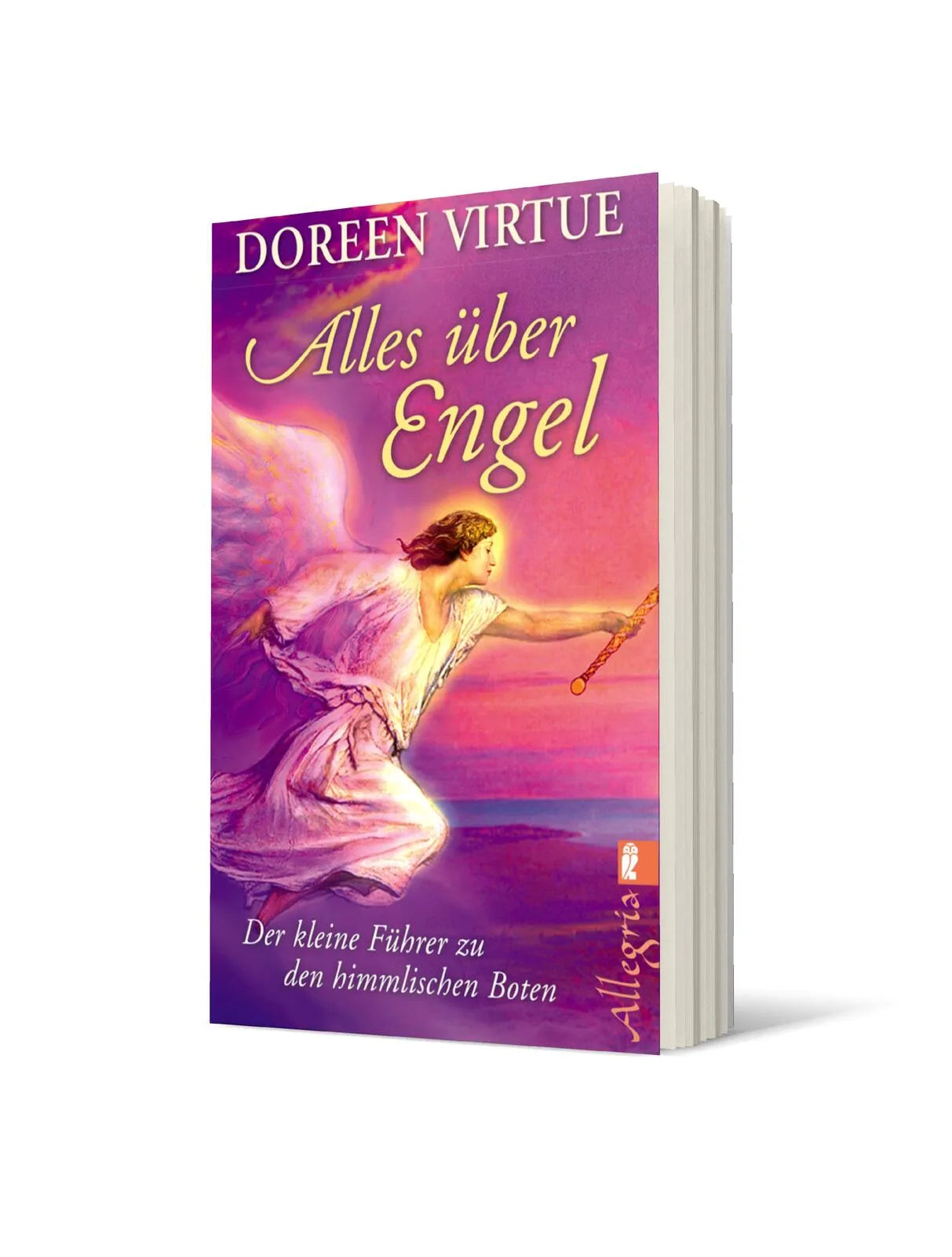 Produktansicht: Alles über Engel (Taschenbuch)