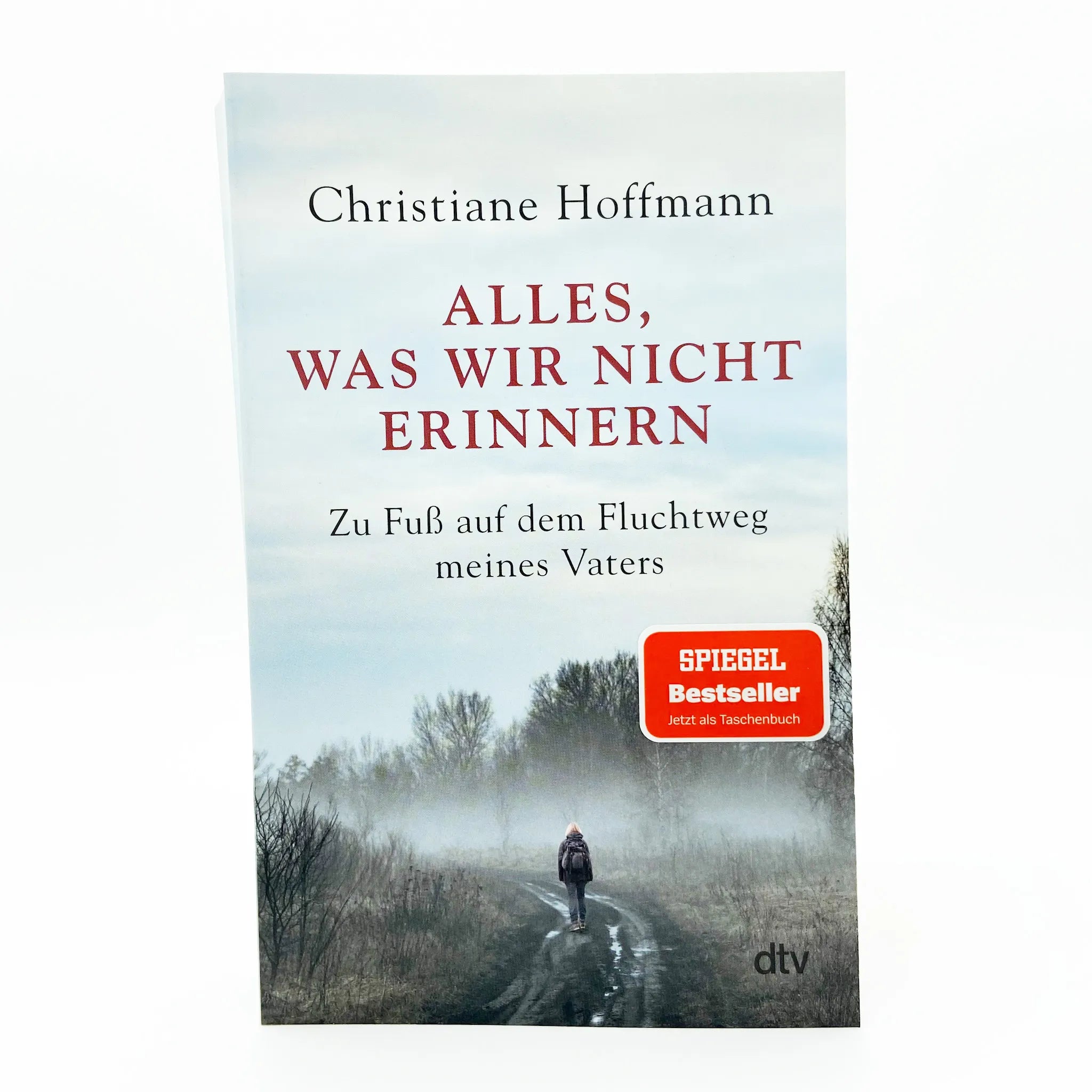 Abbildung von 'Alles, was wir nicht erinnern'