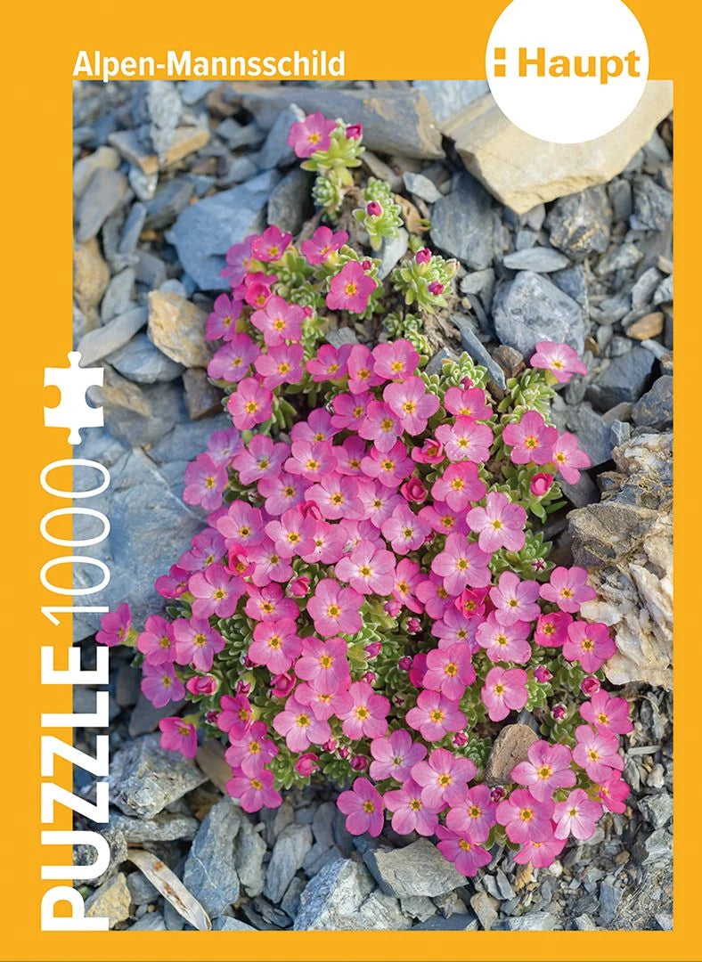 Puzzle: Alpen-Mannsschild – Puzzle