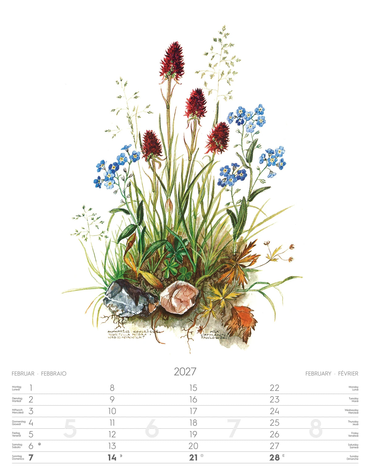 Alpenblumen-Aquarelle Kalender 2027 – Ansicht
