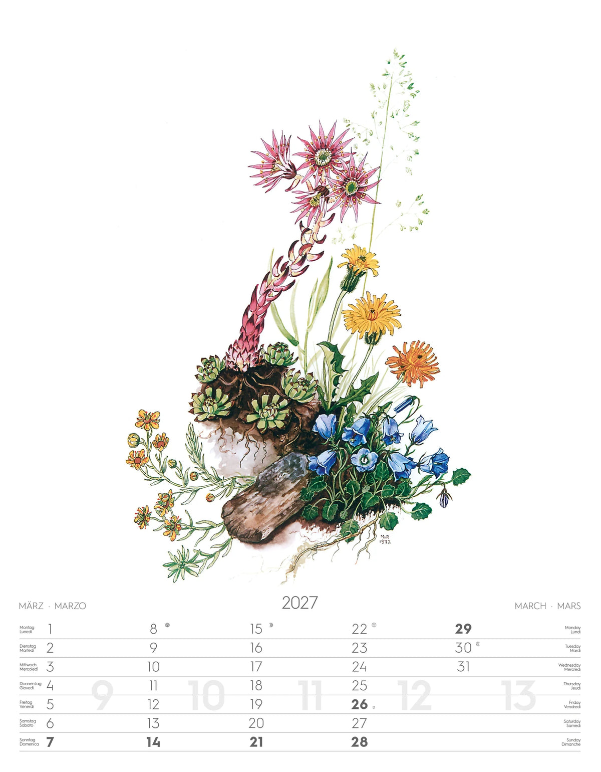 Alpenblumen-Aquarelle Kalender 2027 – Ansicht