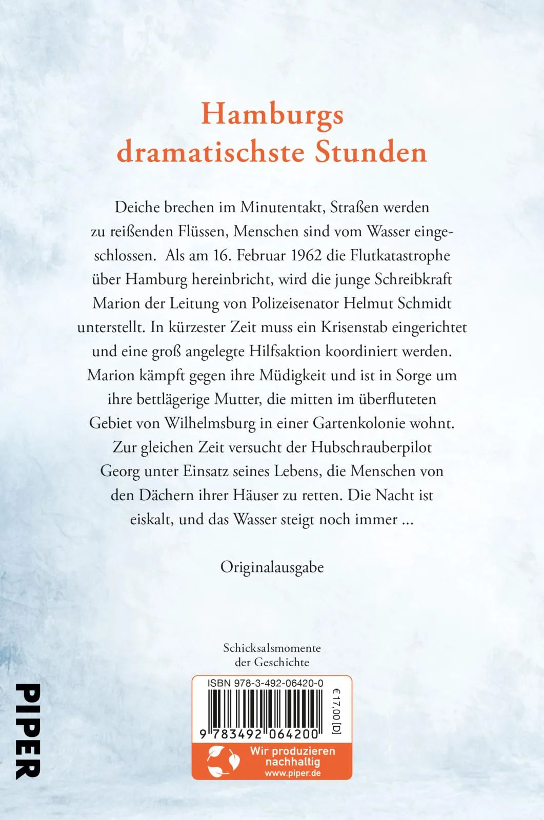 Buchrückseite von 'Als der Sturm kam' mit Klappentext - Paperback