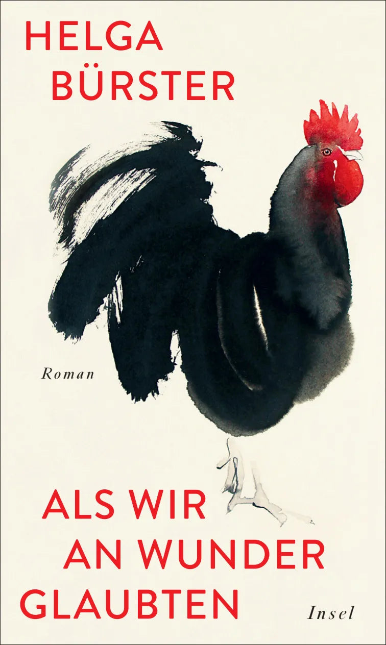 Buchcover von 'Als wir an Wunder glaubten' - Gebundene Ausgabe von Helga Bürster