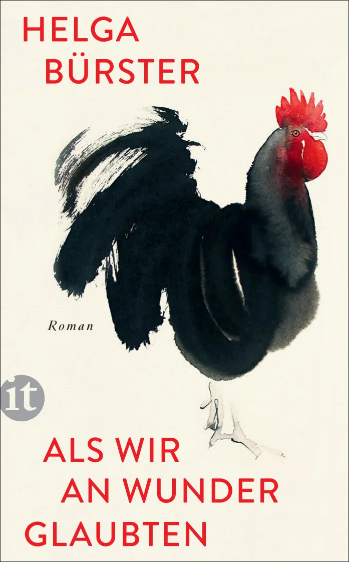 Buchcover von 'Als wir an Wunder glaubten' - Taschenbuch von Helga Bürster
