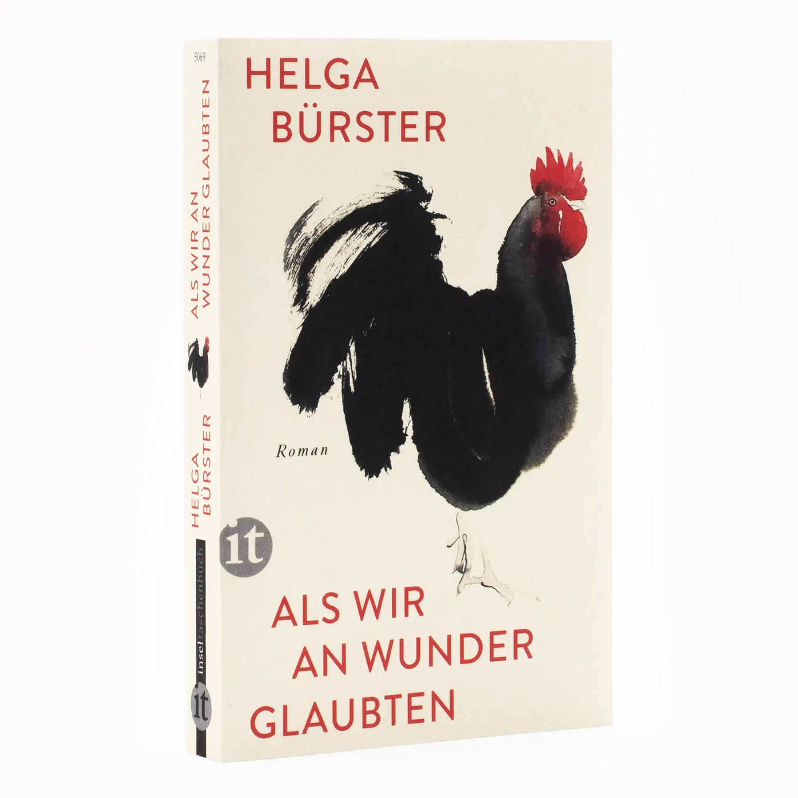 Produktansicht: Als wir an Wunder glaubten (Taschenbuch)