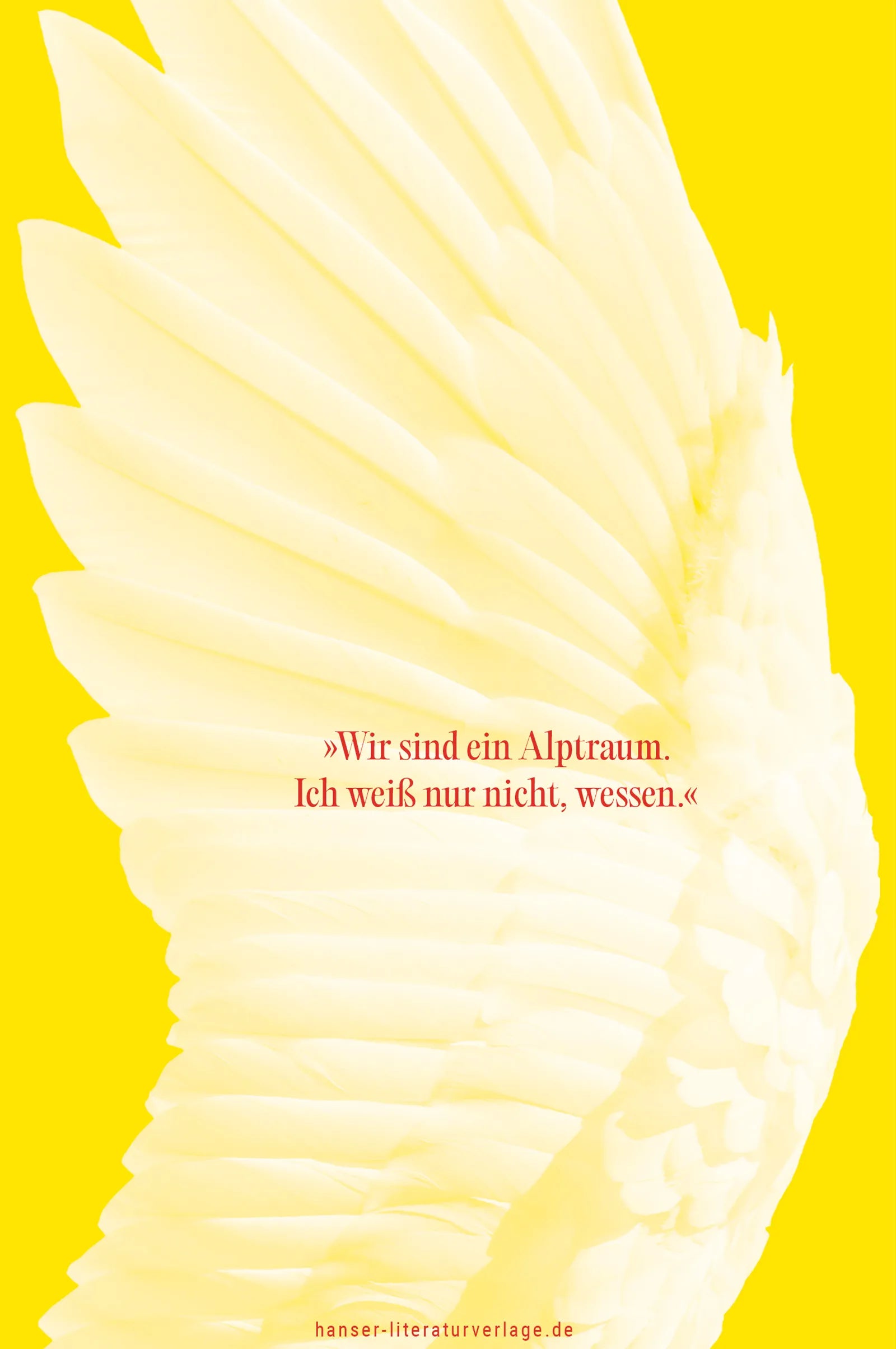 Produktansicht: Als wir Schwäne waren (Gebundene Ausgabe)