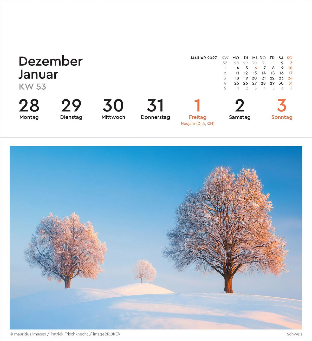 Alte Bäume - KUNTH Postkartenkalender 2027 – Ansicht