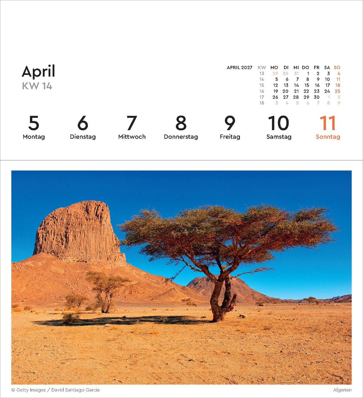Alte Bäume - KUNTH Postkartenkalender 2027 – Ansicht