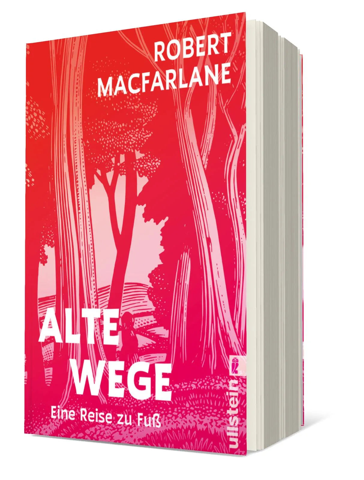 Buchcover von 'Alte Wege' - Paperback von Robert Macfarlane