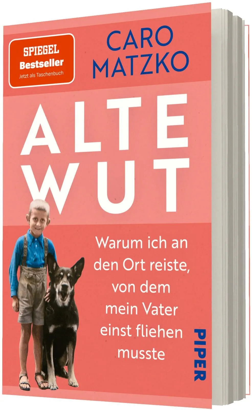 Detailansicht: Alte Wut (Taschenbuch)