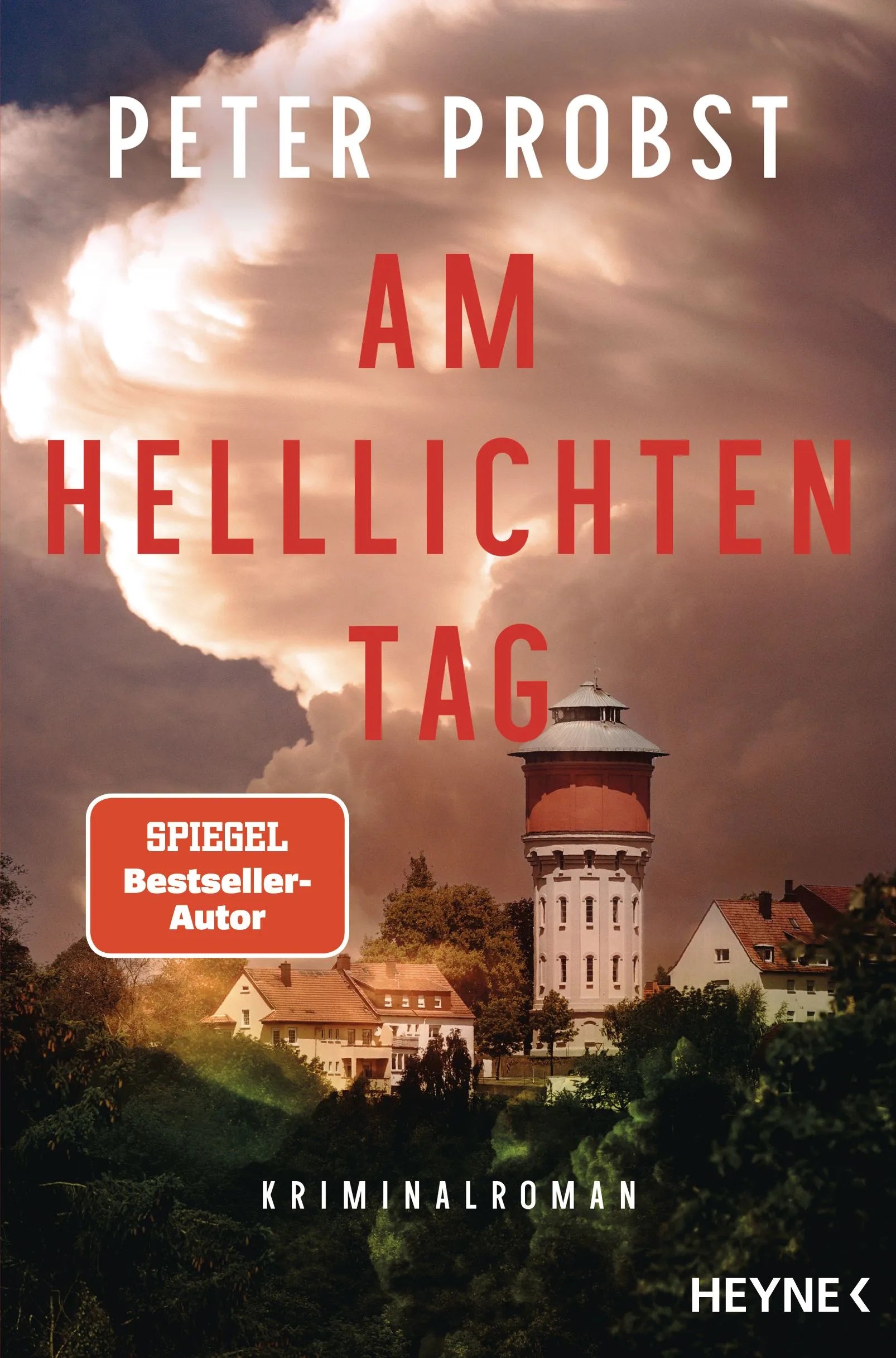 Cover: Am helllichten Tag (Paperback) von Peter Probst