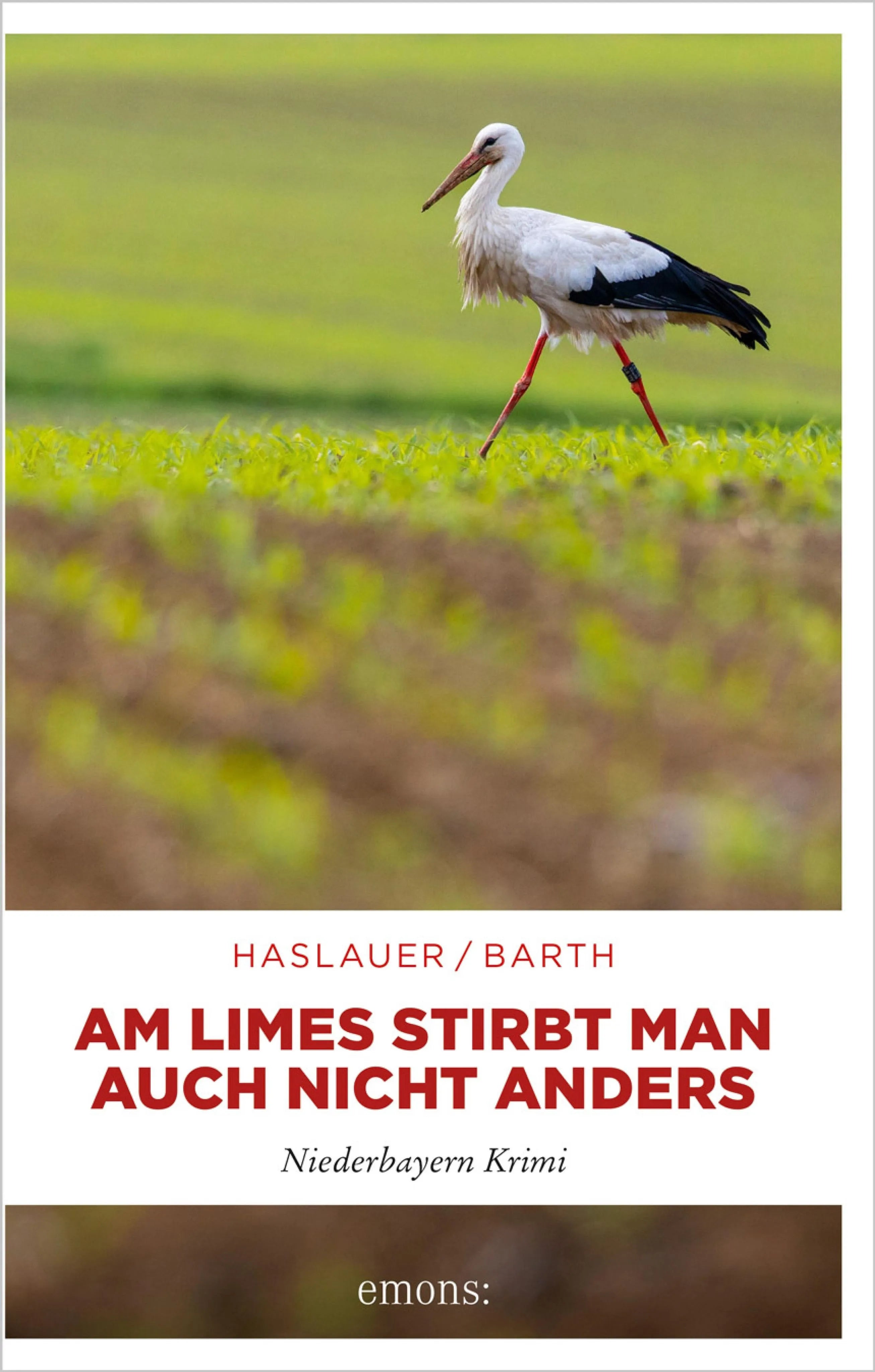 Cover: Am Limes stirbt man auch nicht anders (E-Book) von Tessy Haslauer