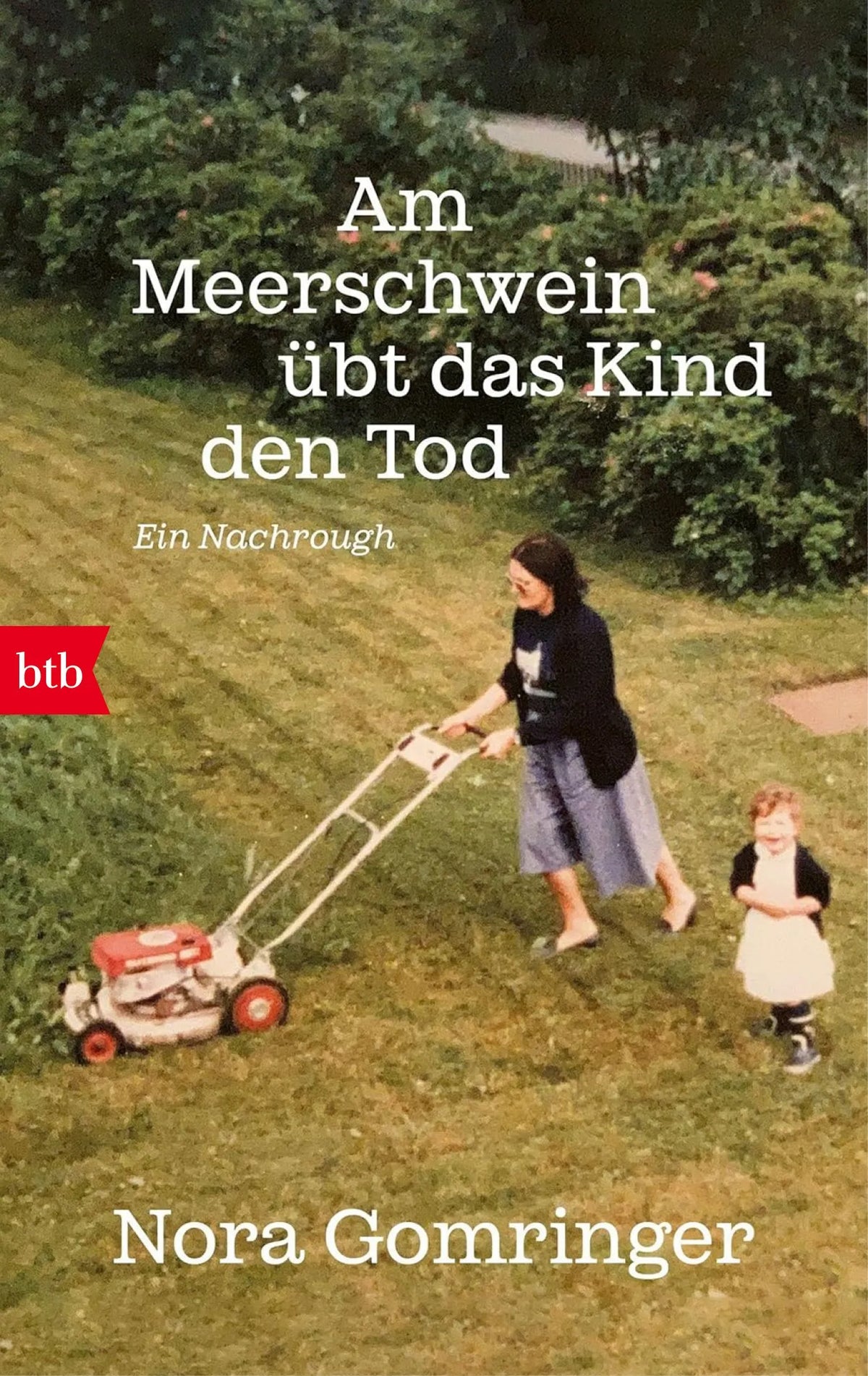 Cover: Am Meerschwein übt das Kind den Tod (Taschenbuch) von Nora Gomringer