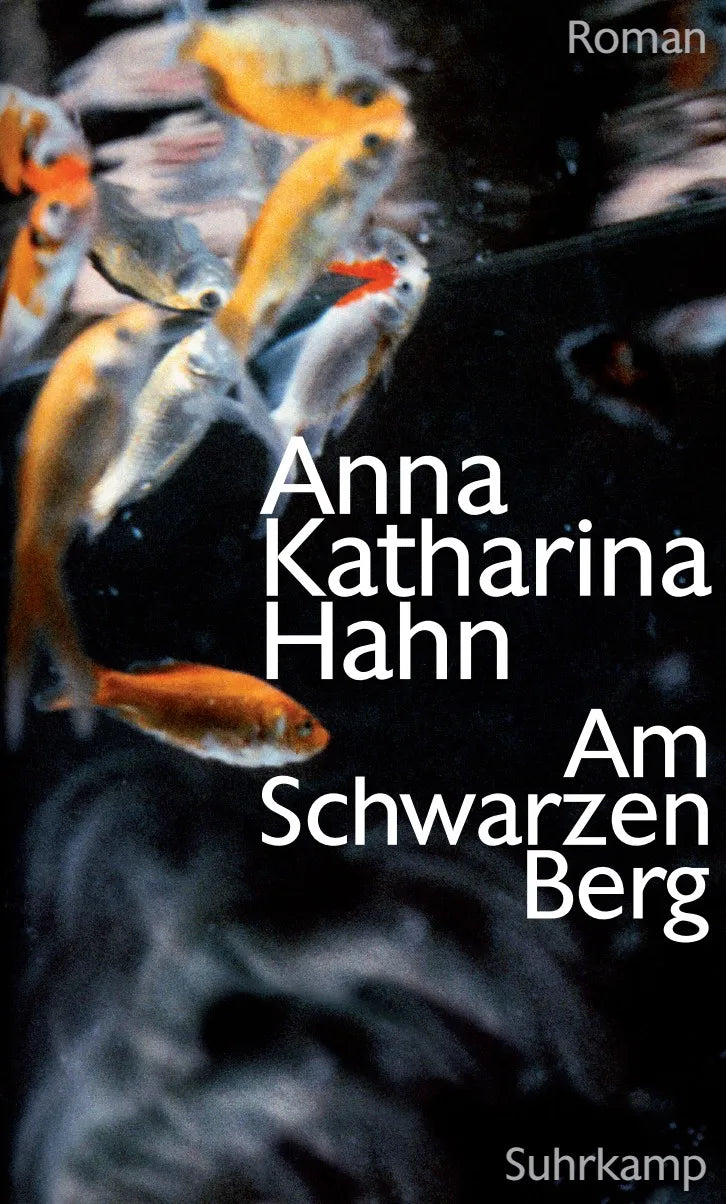 Buchcover von 'Am Schwarzen Berg' - Gebundene Ausgabe von Anna Katharina Hahn
