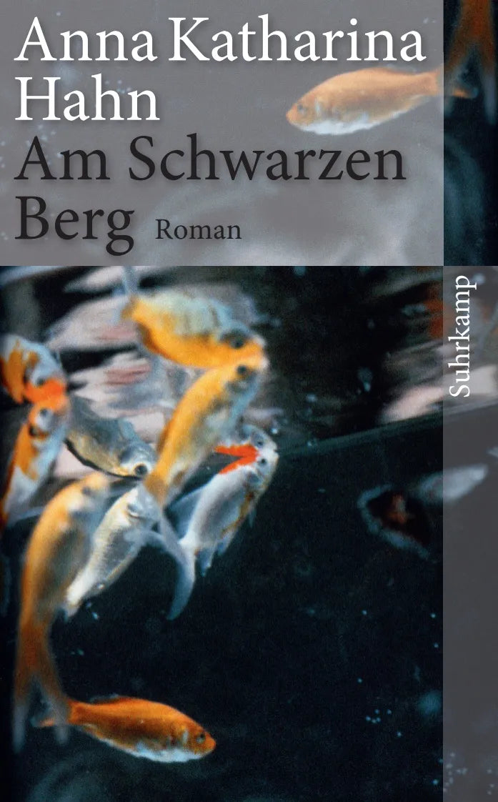 Buchcover von 'Am Schwarzen Berg' - Taschenbuch von Anna Katharina Hahn