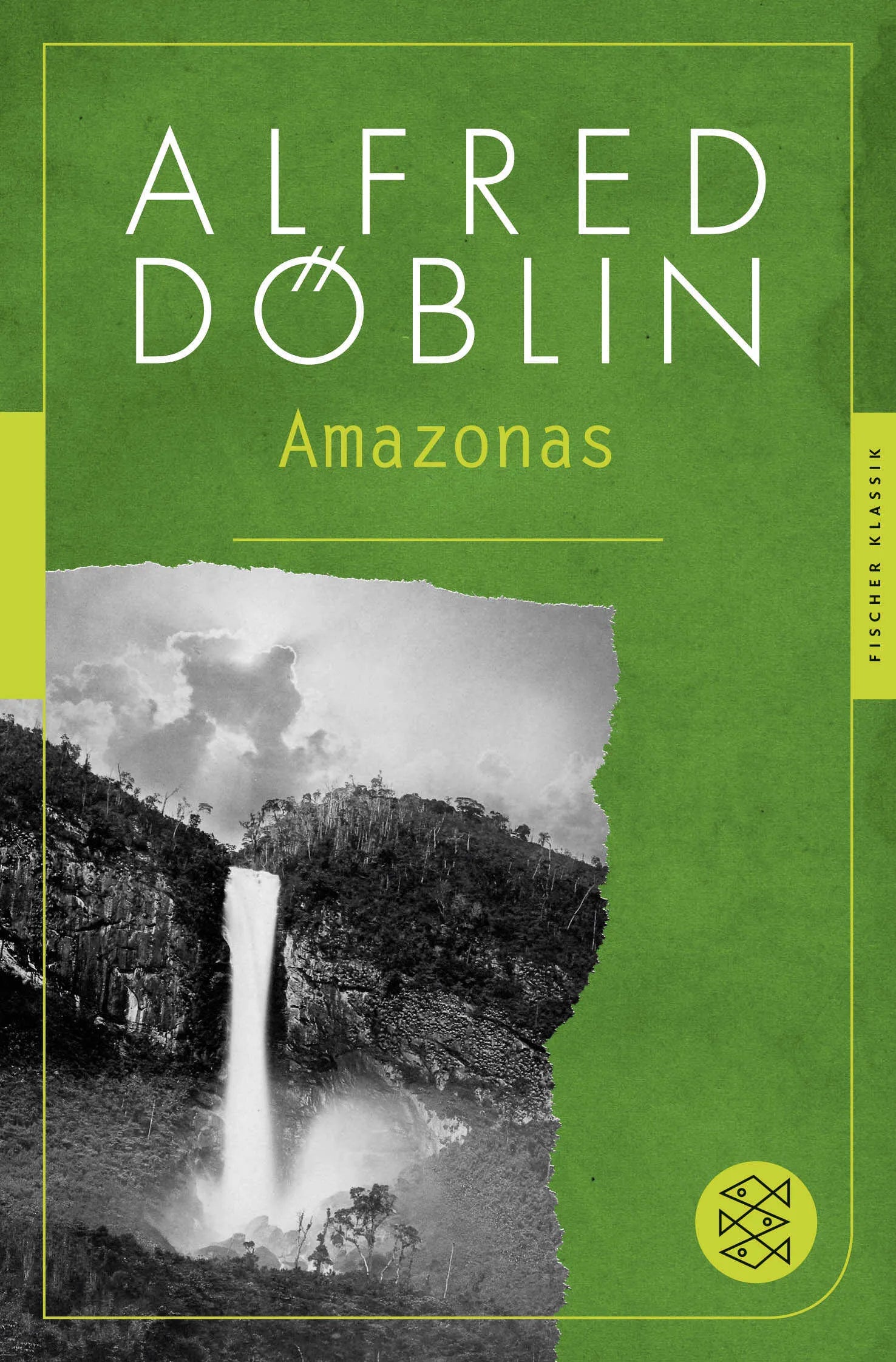 Buchcover von 'Amazonas' - Taschenbuch von Alfred Döblin