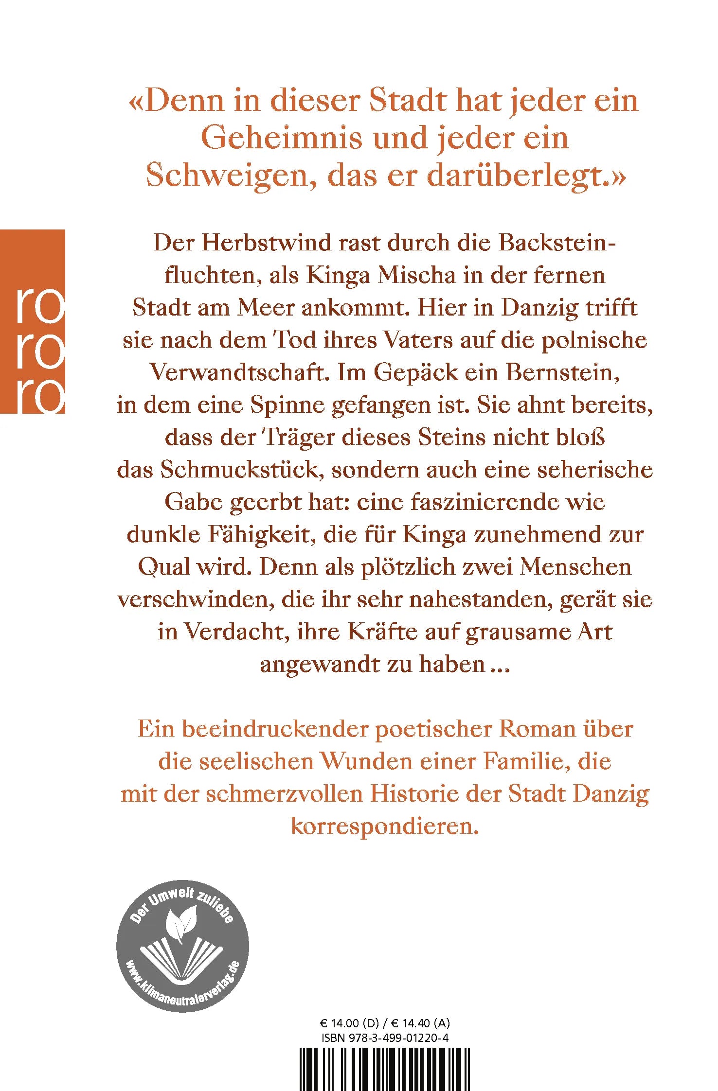 Buchrückseite von 'Ambra' mit Klappentext - Taschenbuch