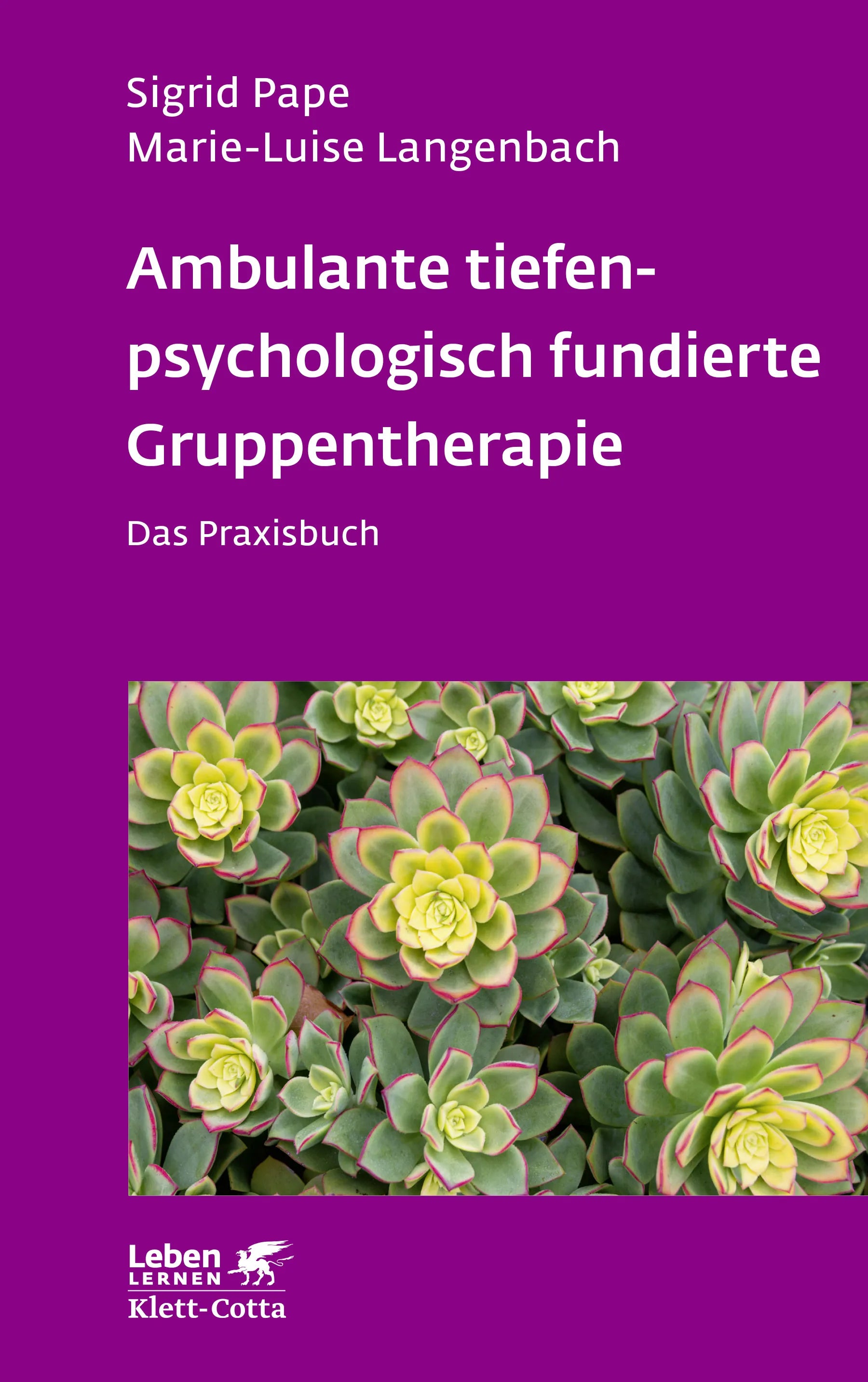 Buchcover von 'Ambulante tiefenpsychologisch fundierte Gruppentherapie' - Paperback von Sigrid Pape