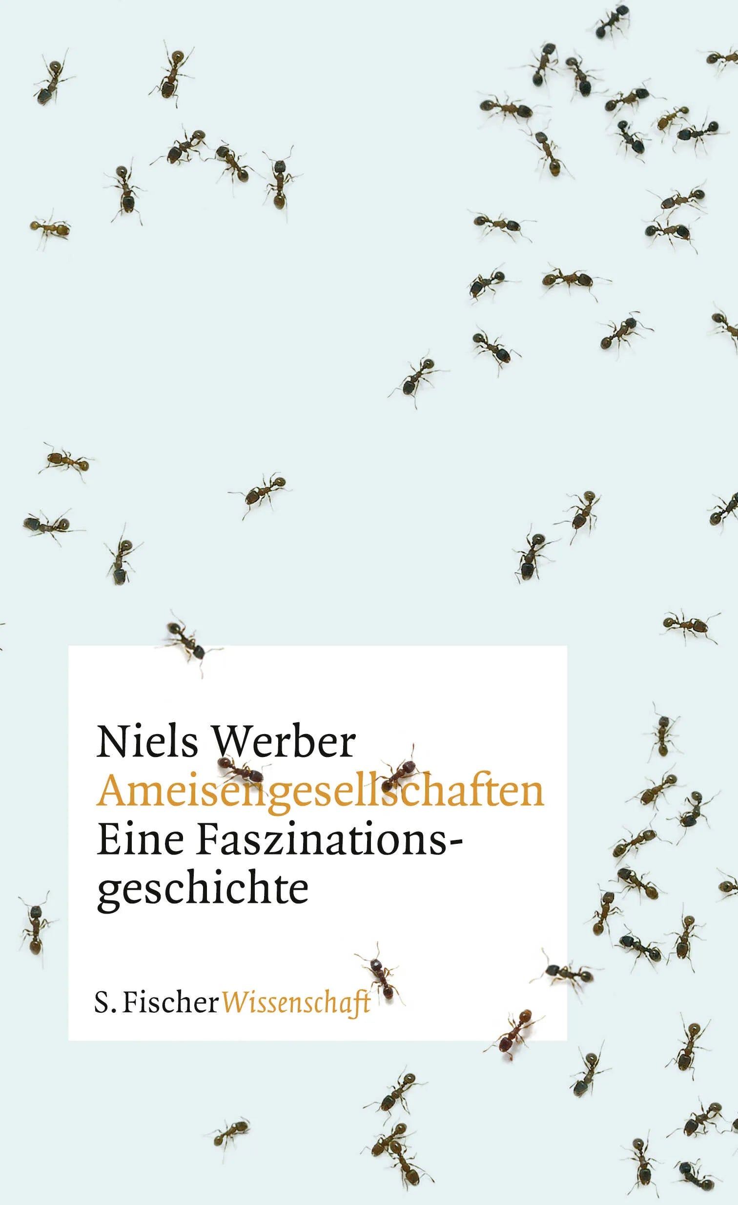 Buchcover von 'Ameisengesellschaften' - Gebundene Ausgabe von Niels Werber