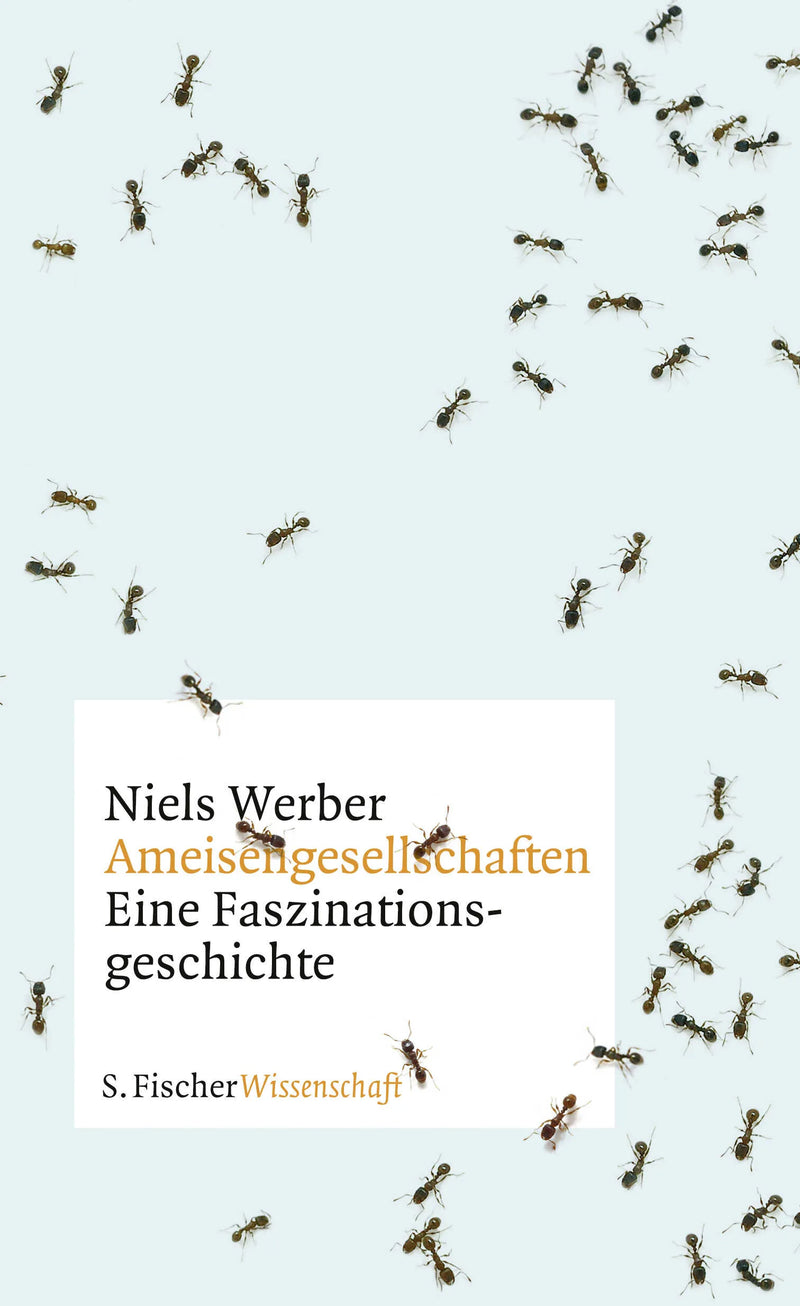 Ameisengesellschaften