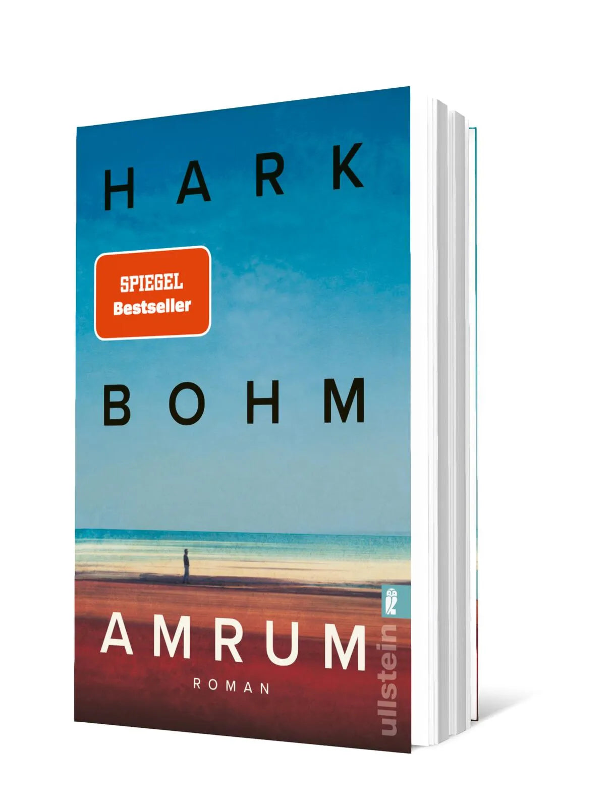 Produktansicht: Amrum (Taschenbuch)
