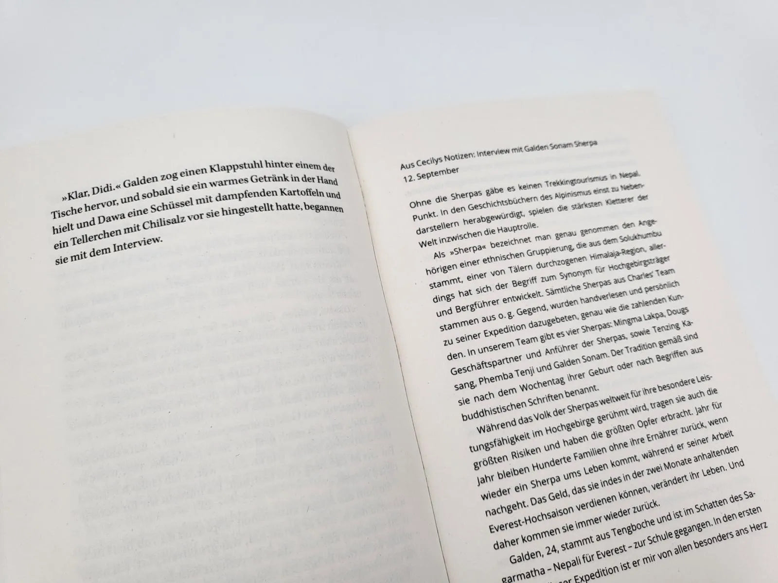 Produktansicht: Der Aufstieg – In eisiger Höhe wartet der Tod (Paperback)