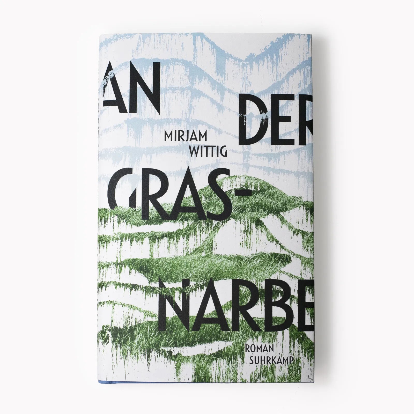 Produktansicht: An der Grasnarbe (Gebundene Ausgabe)