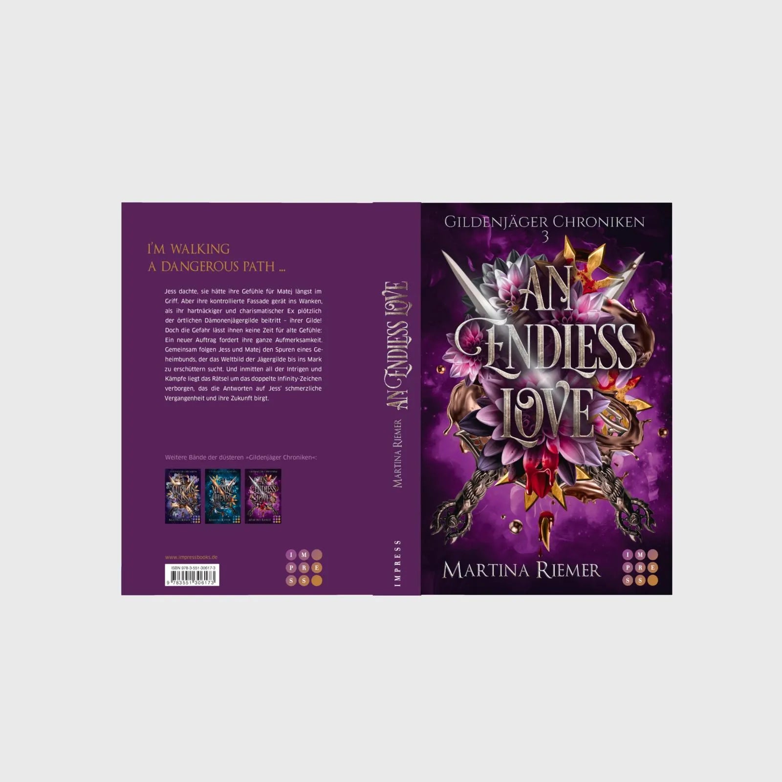 Produktansicht: An Endless Love (Taschenbuch)