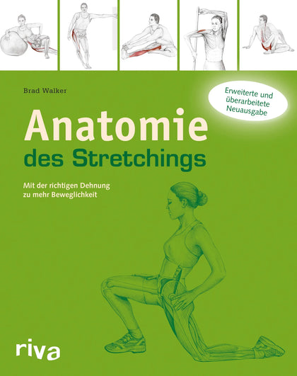 Buchcover von 'Anatomie des Stretchings' - Taschenbuch von Brad Walker