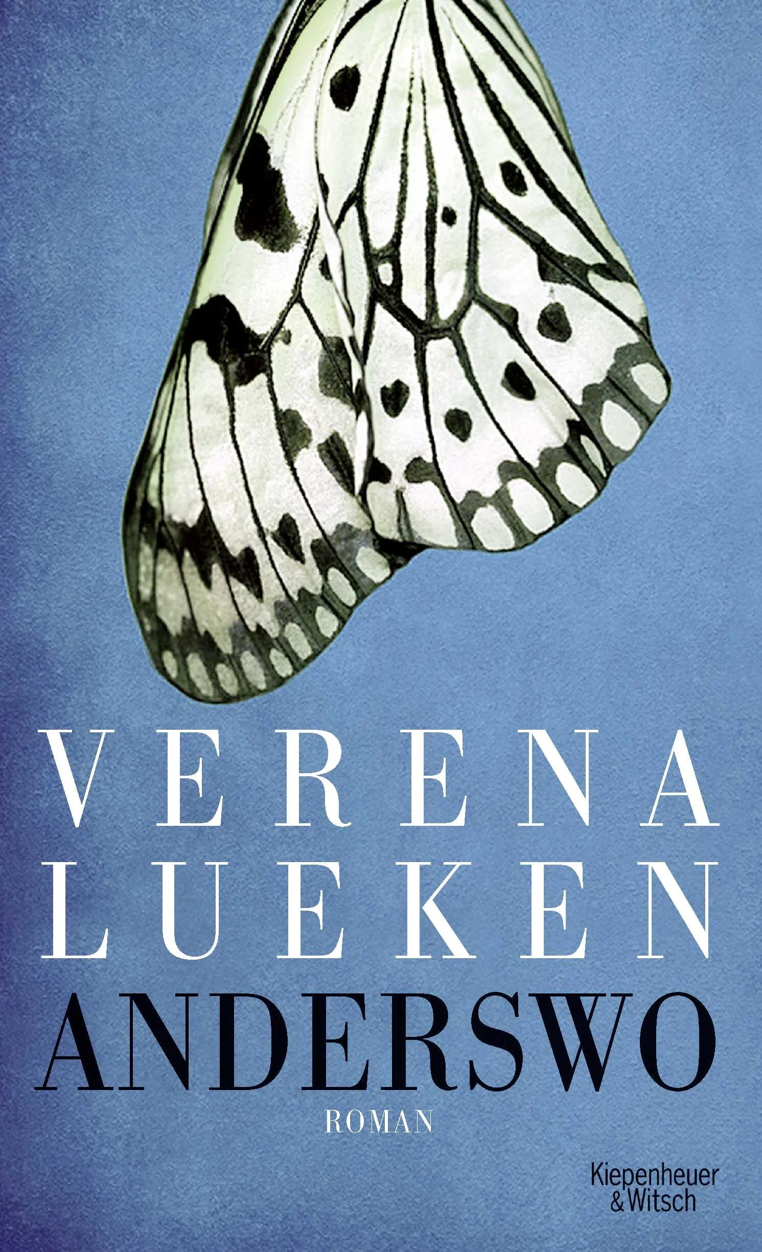 Buchcover von 'Anderswo' - Gebundene Ausgabe von Verena Lueken