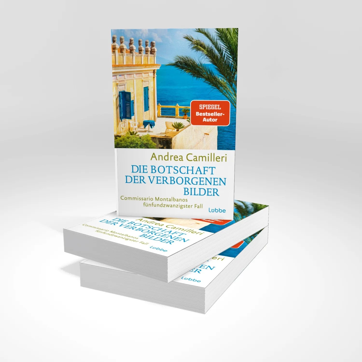 Produktansicht: Die Botschaft der verborgenen Bilder (Taschenbuch)