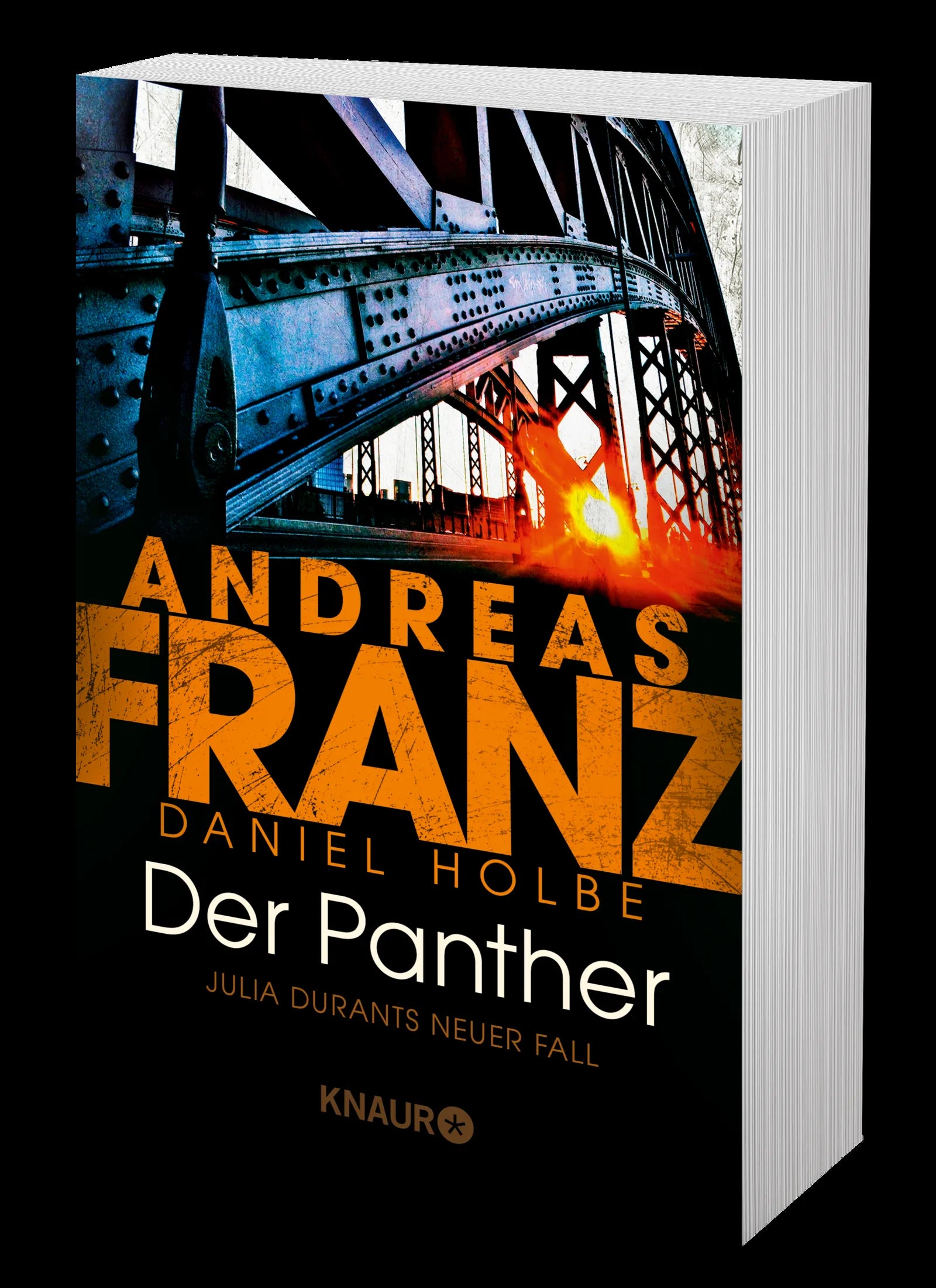 Produktansicht: Der Panther (Taschenbuch)
