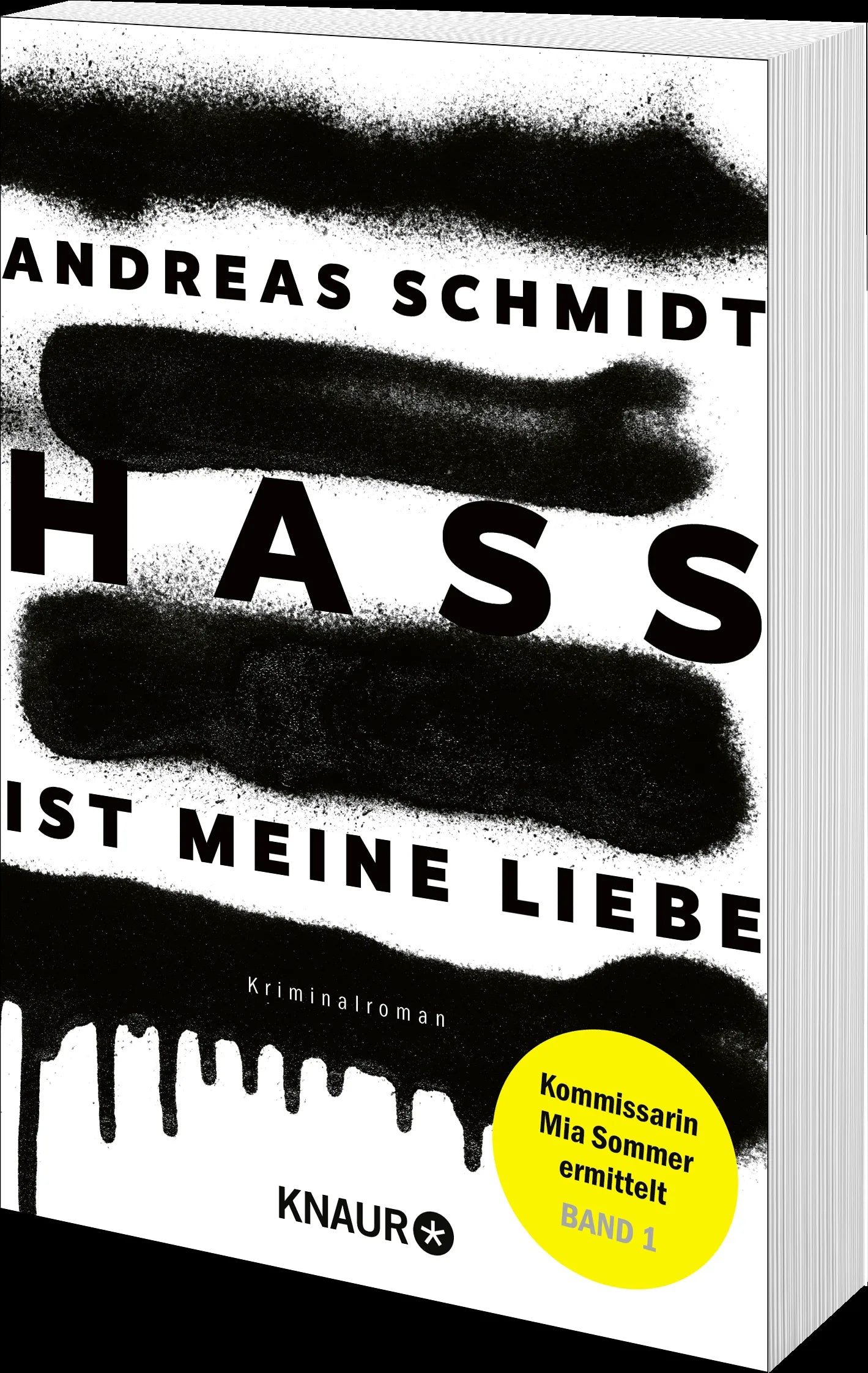 Produktansicht: Hass ist meine Liebe (Taschenbuch)
