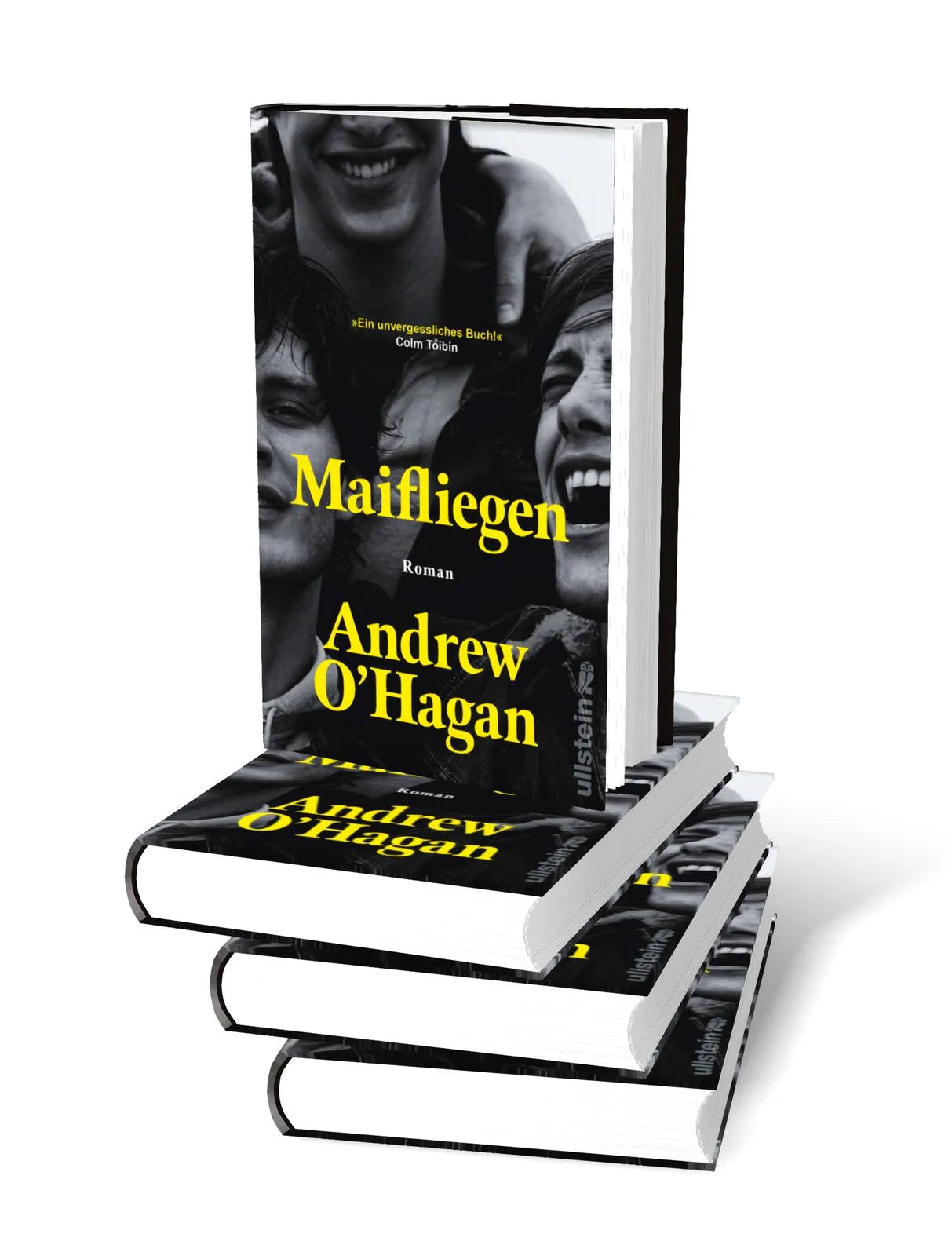 Produktansicht: Maifliegen (Gebundene Ausgabe)