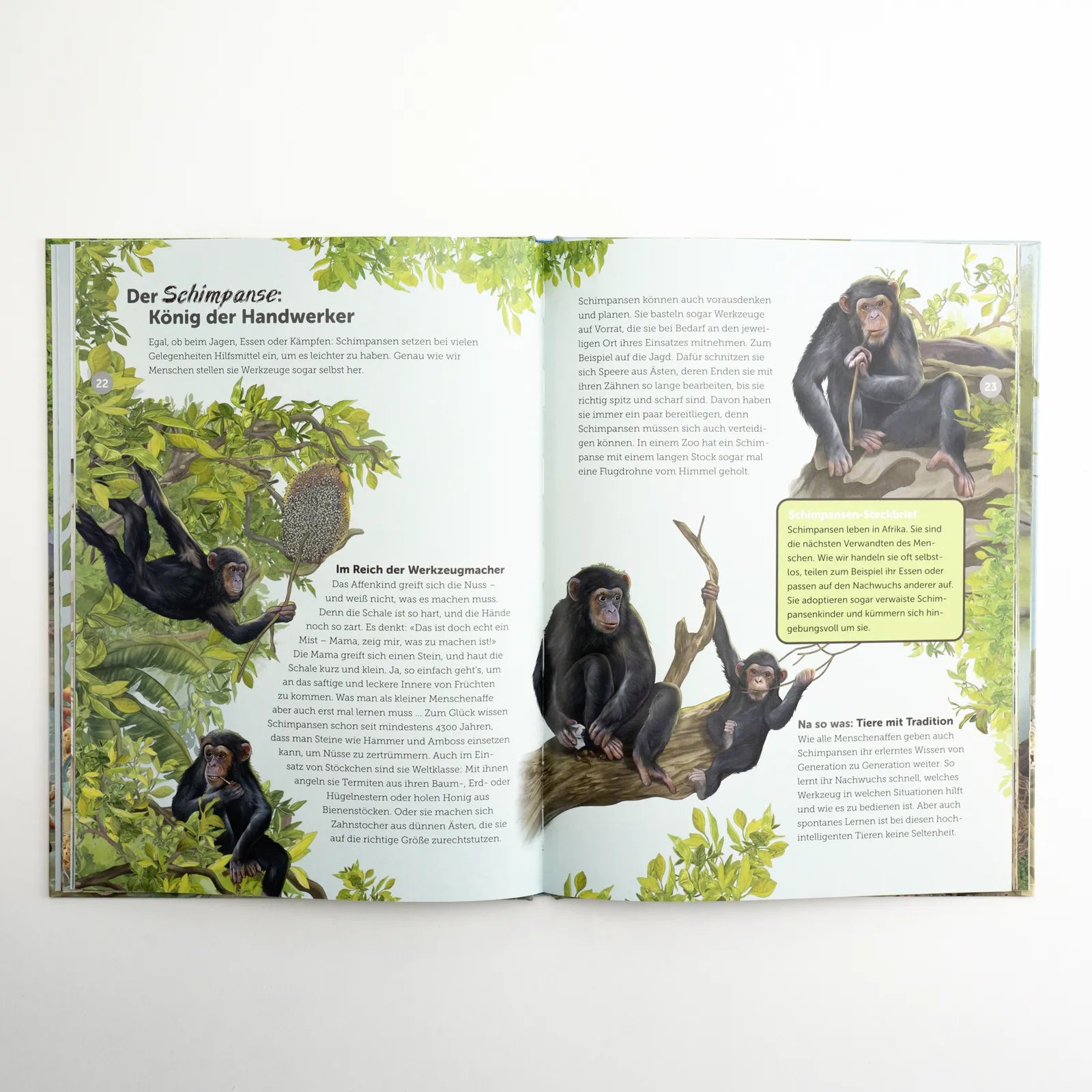 Produktansicht: Die Werkzeugkiste der Tiere (Gebundene Ausgabe)