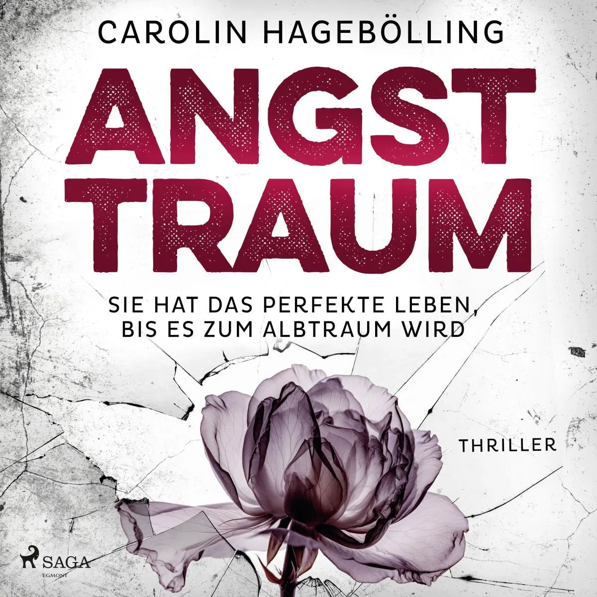 Cover: Angsttraum (Hörbuch Download) von Carolin Hagebölling