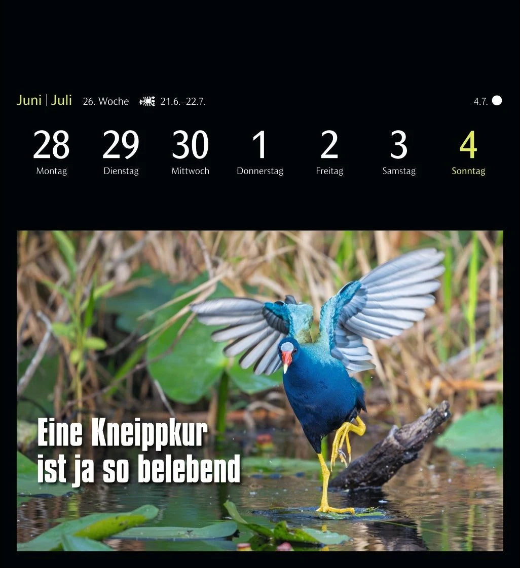 Animal Memes Postkartenkalender 2027 - 53 tierisch witzige Postkarten – Ansicht
