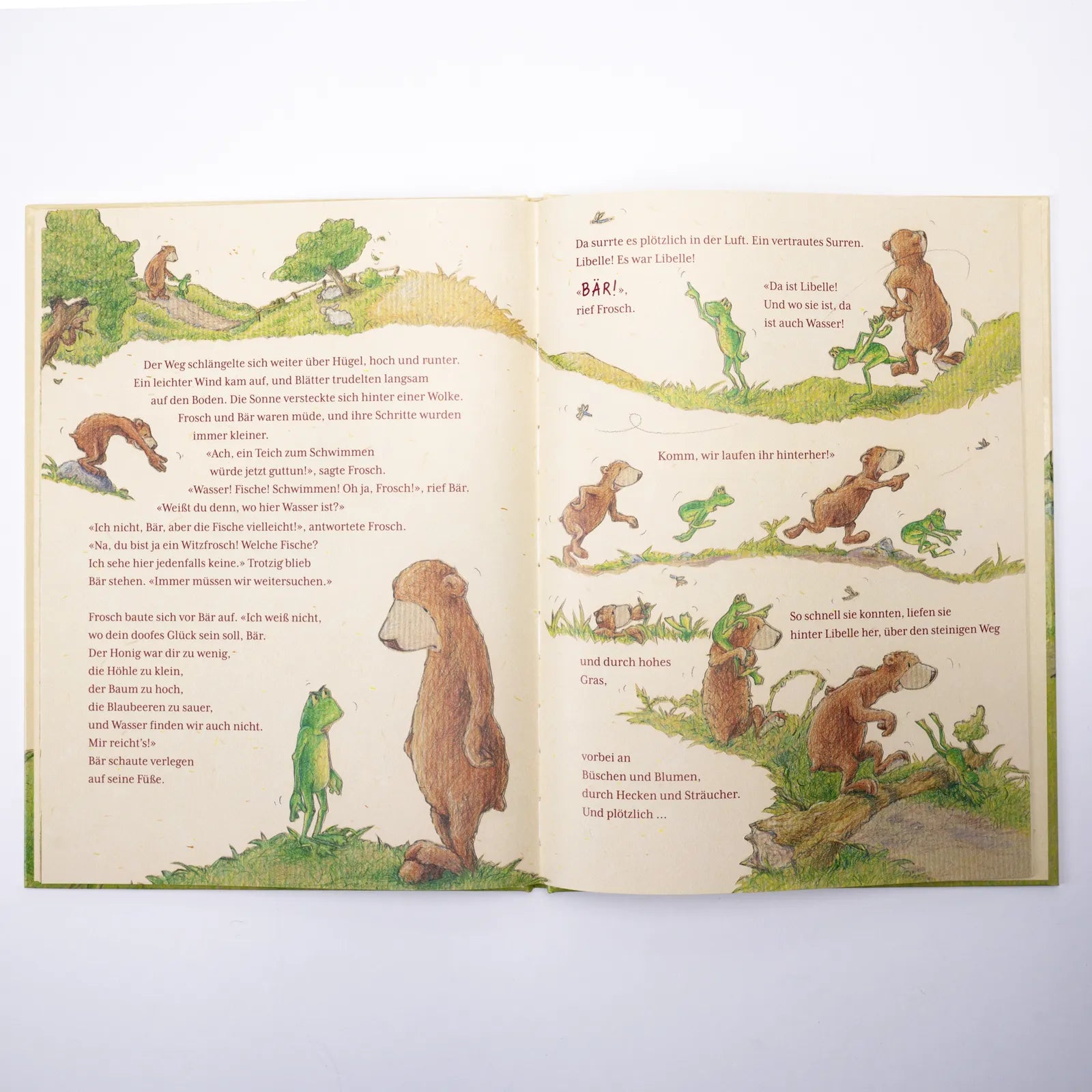 Produktansicht: Komm, wir suchen das Glück, sagte der Frosch (Gebundene Ausgabe)