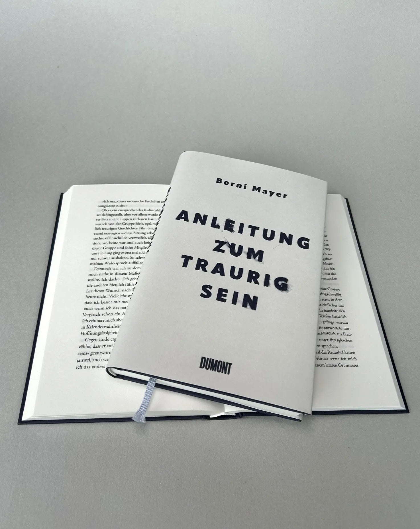 Produktansicht: Anleitung zum Traurigsein (Gebundene Ausgabe)