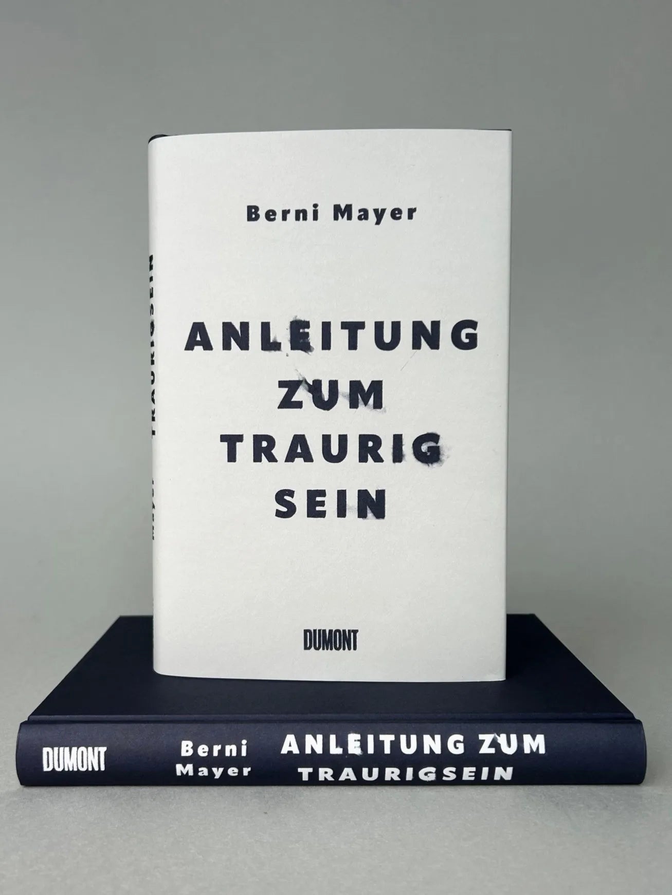 Abbildung von 'Anleitung zum Traurigsein'