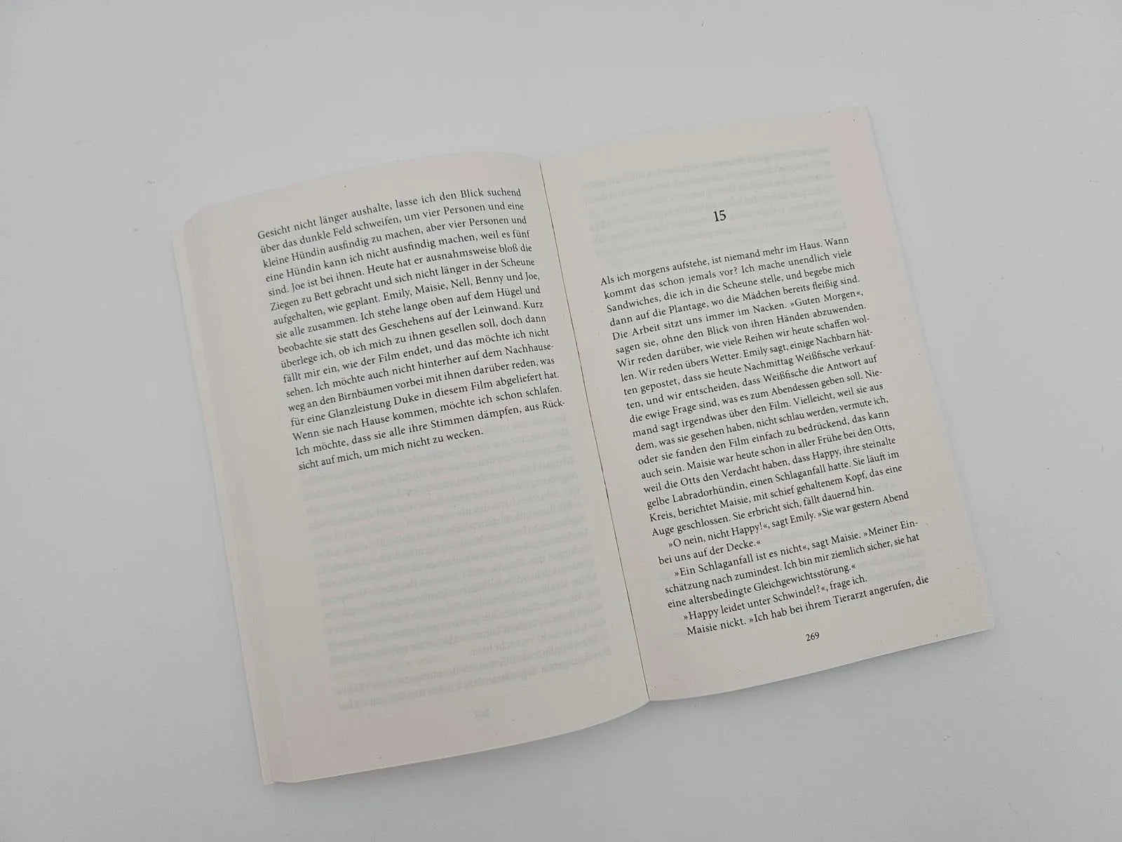 Produktansicht: Der Sommer zu Hause (Taschenbuch)