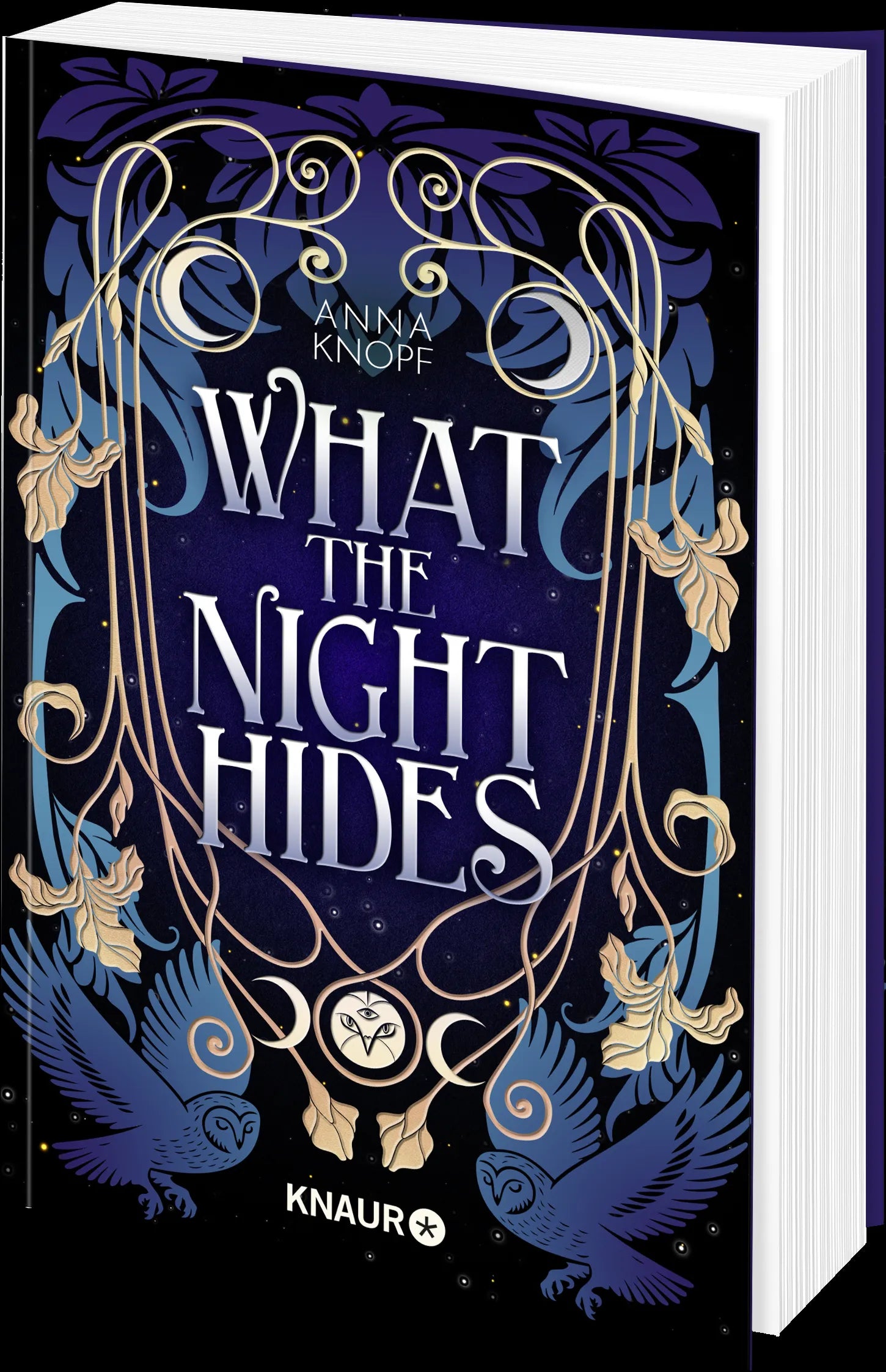 Produktansicht: What the Night Hides (Paperback)